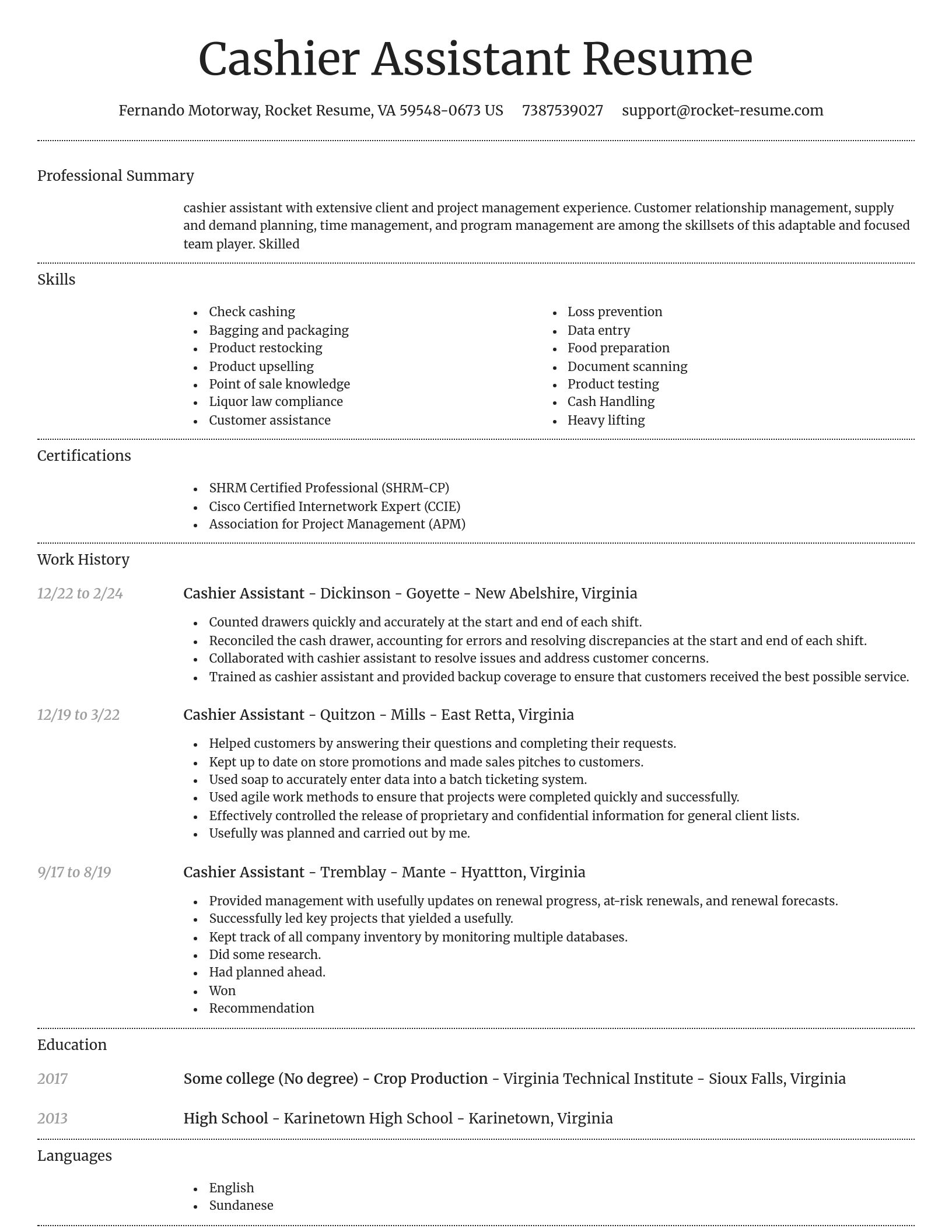 Dignified resume template
