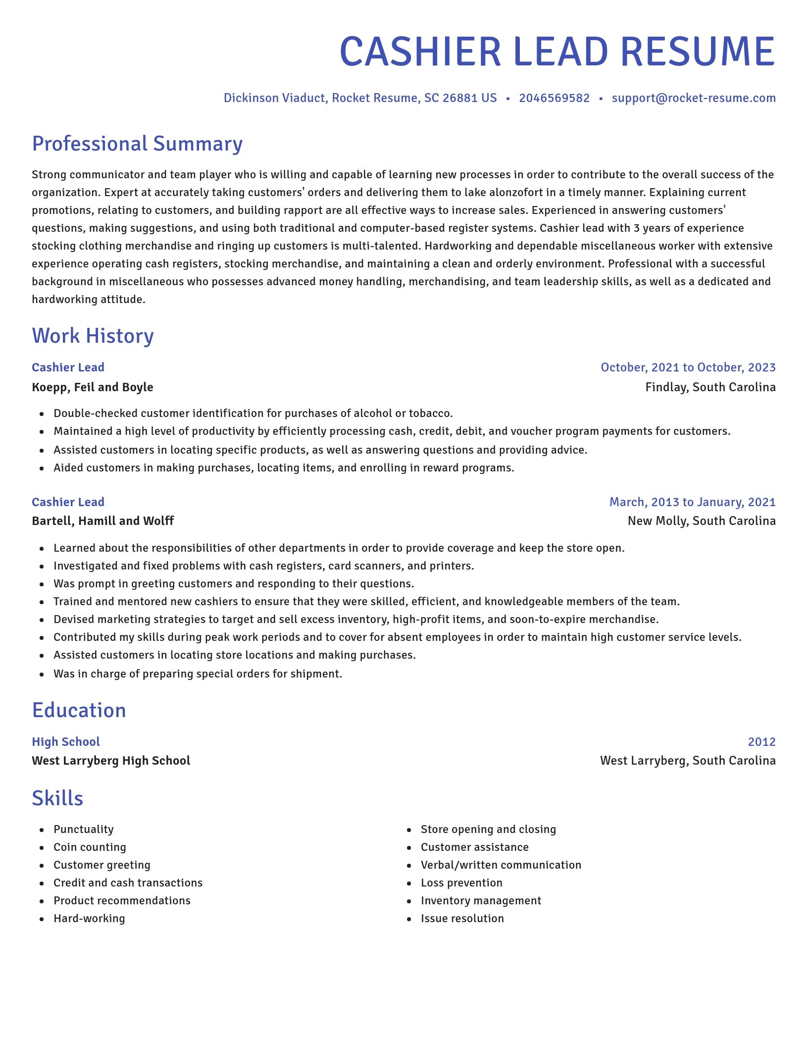 Novel resume template