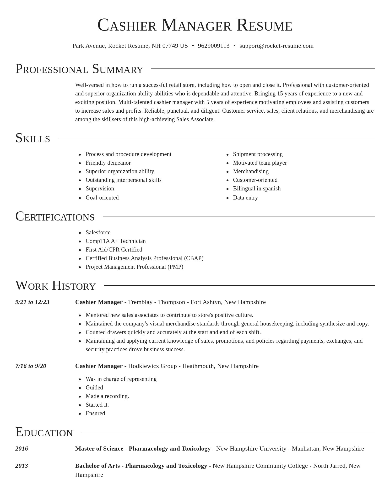Director resume template