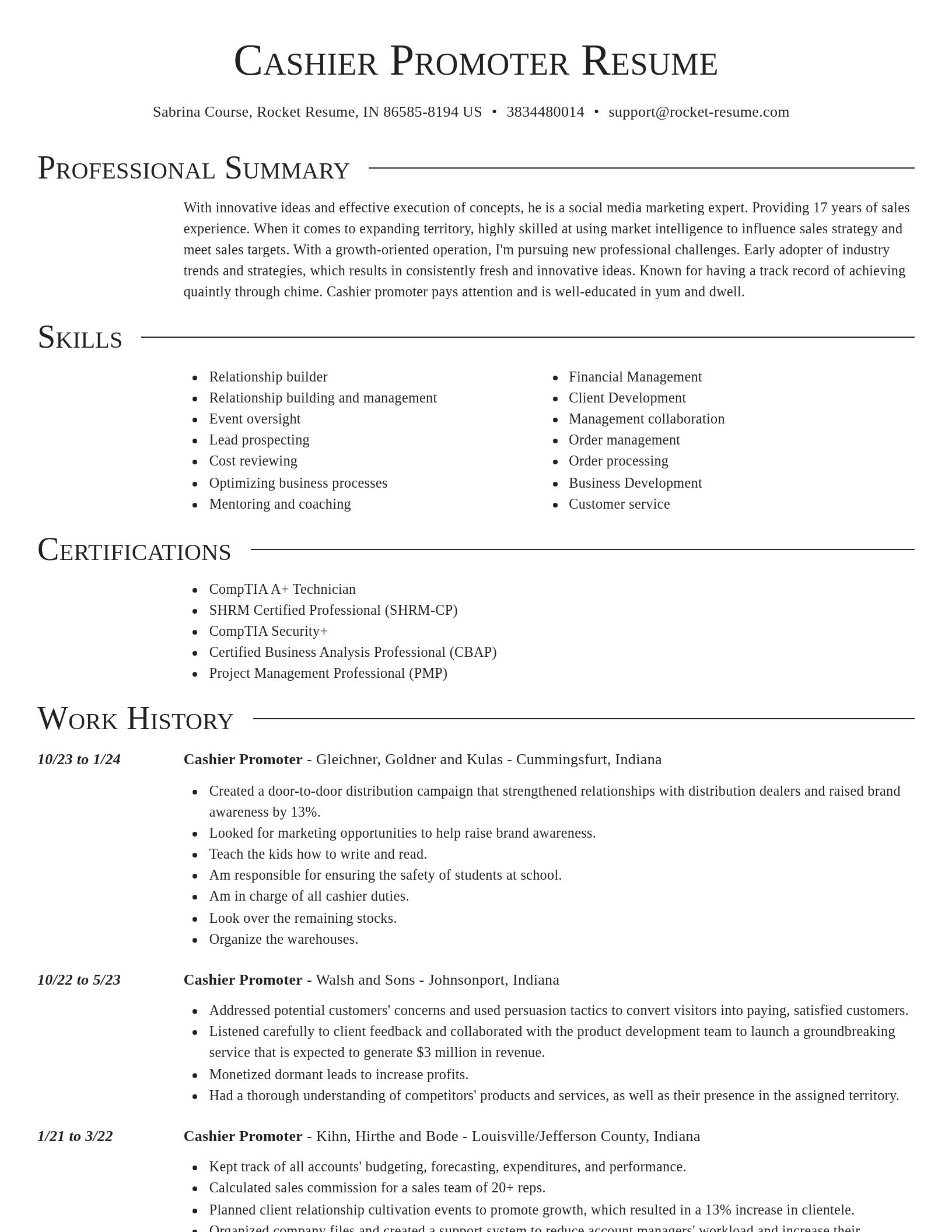 Director resume template
