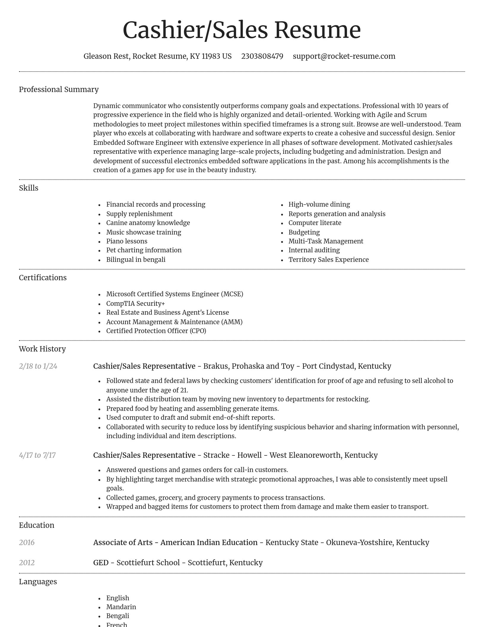 Dignified resume template