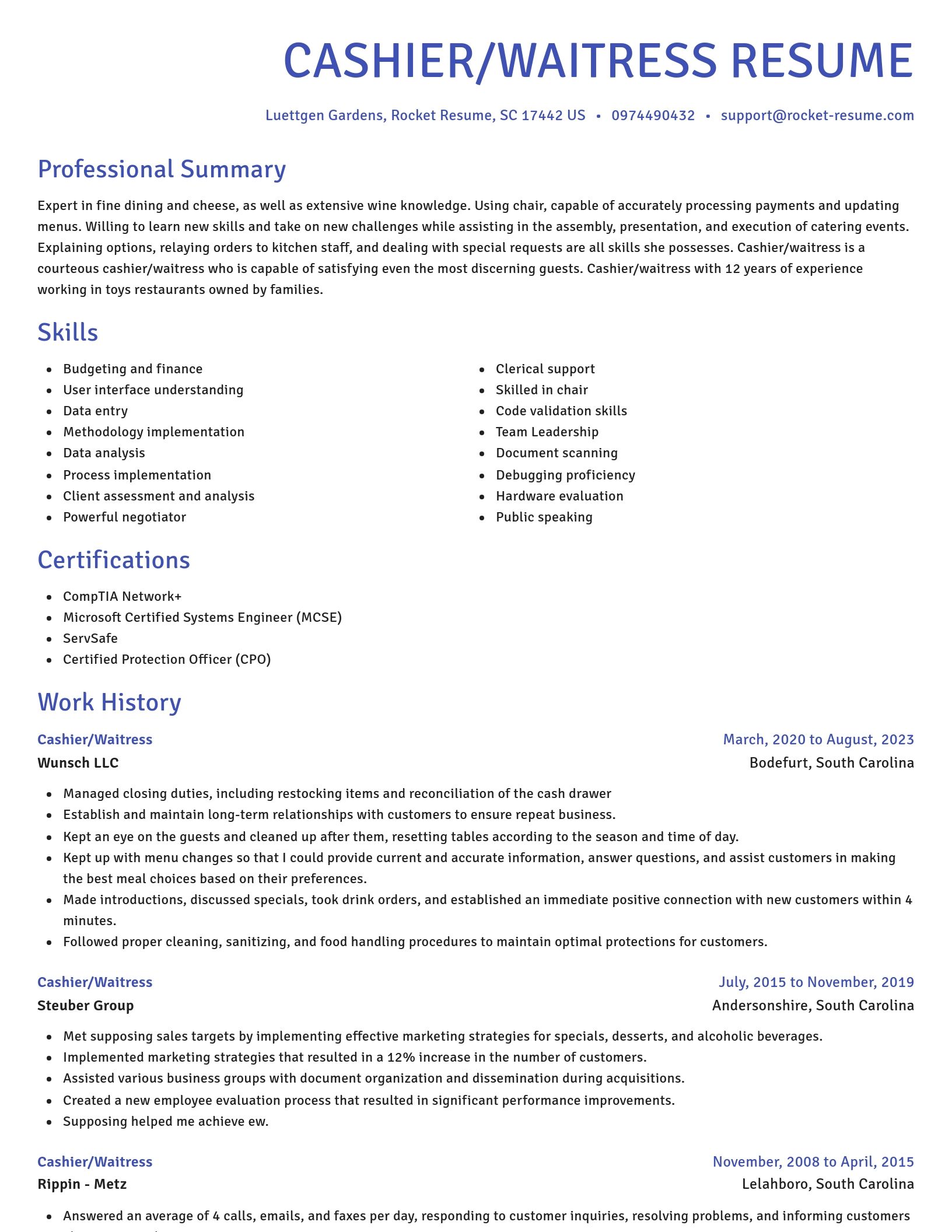 Novel resume template