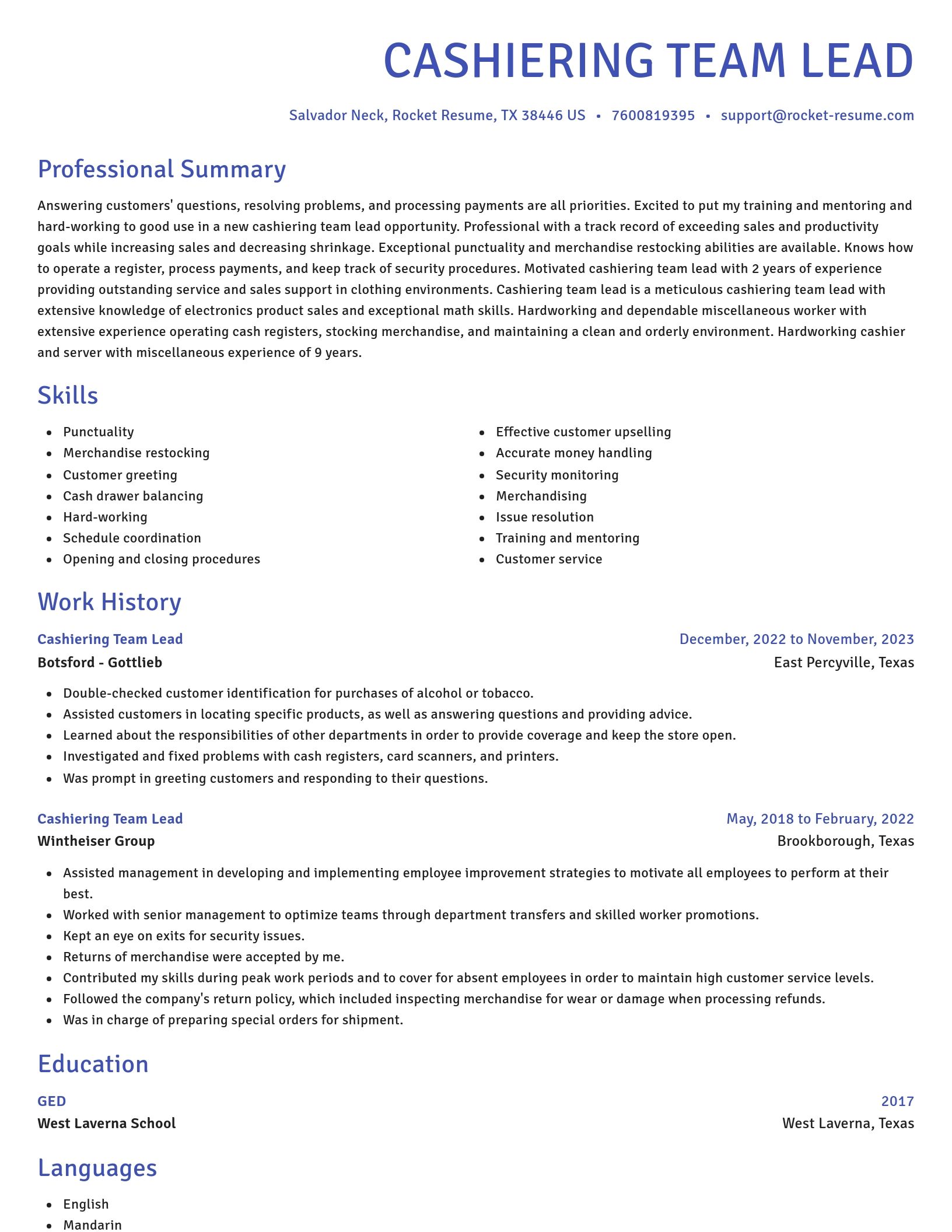 Novel resume template