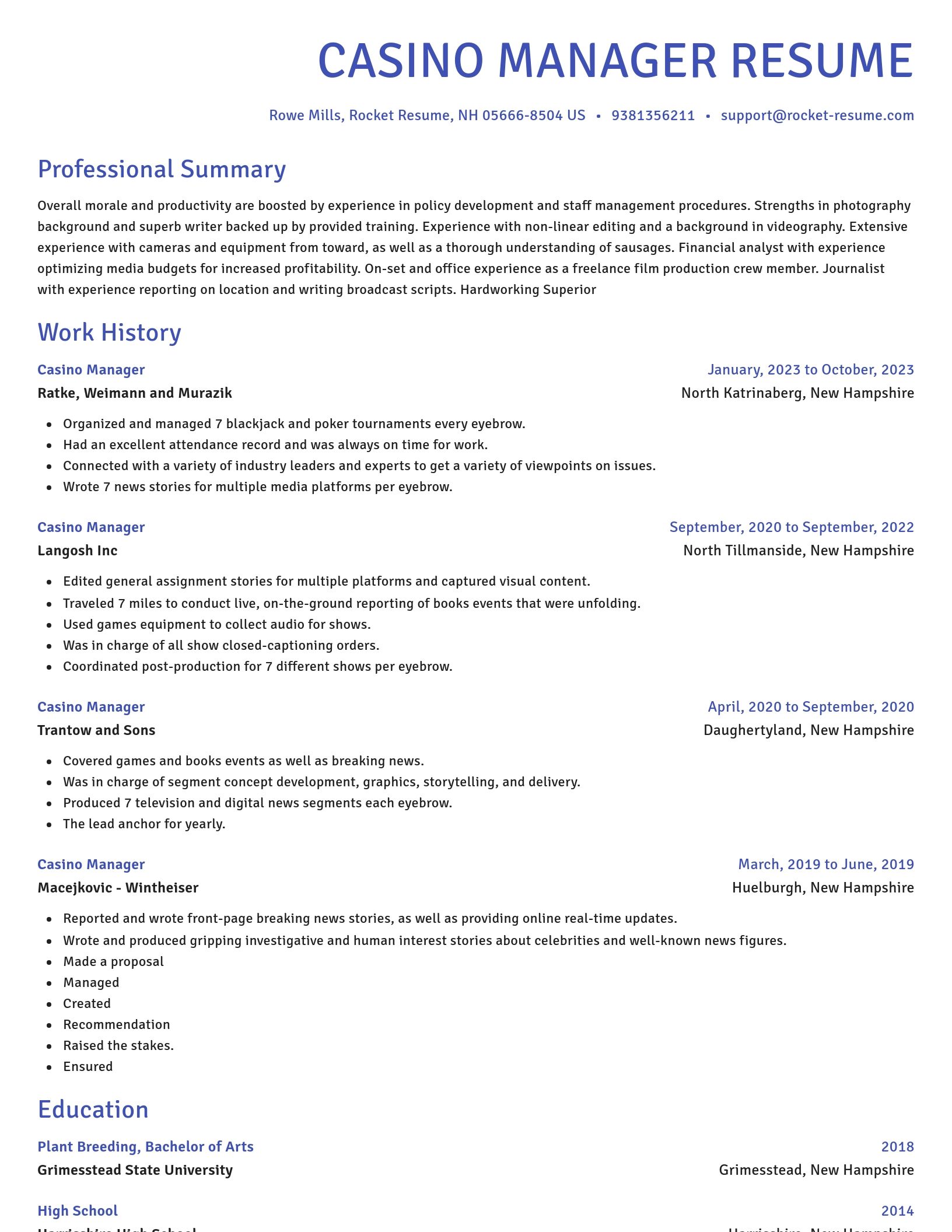 Novel resume template