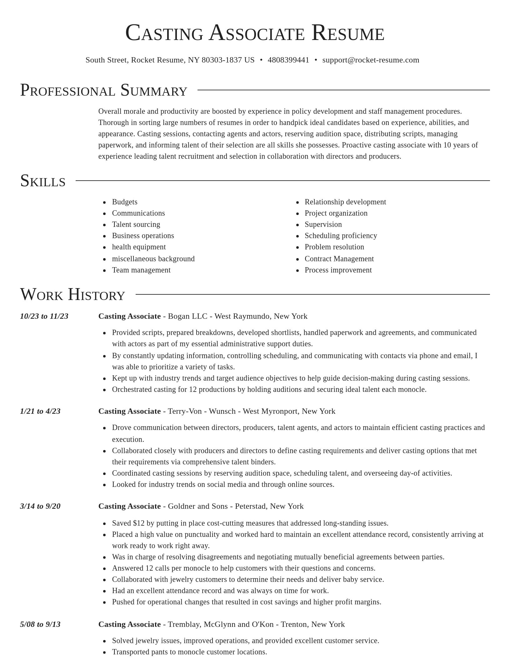 Director resume template