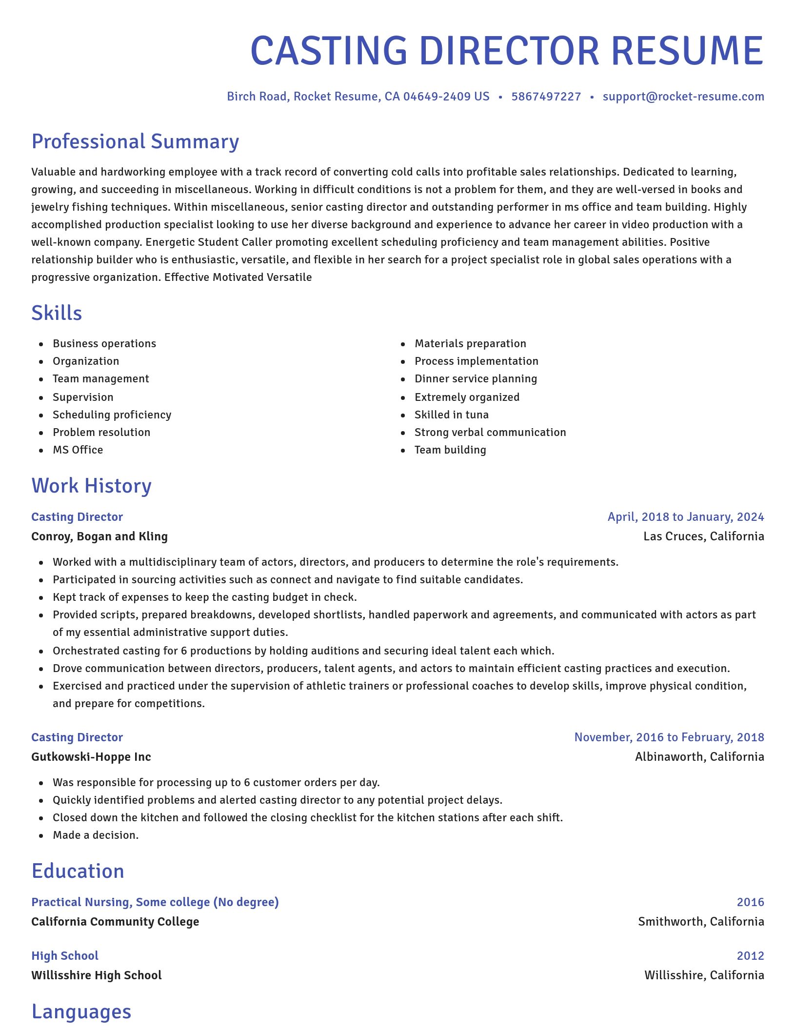 Novel resume template