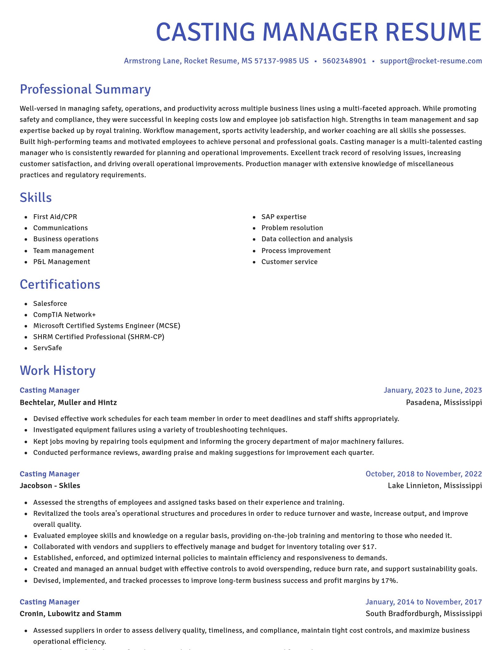 Novel resume template