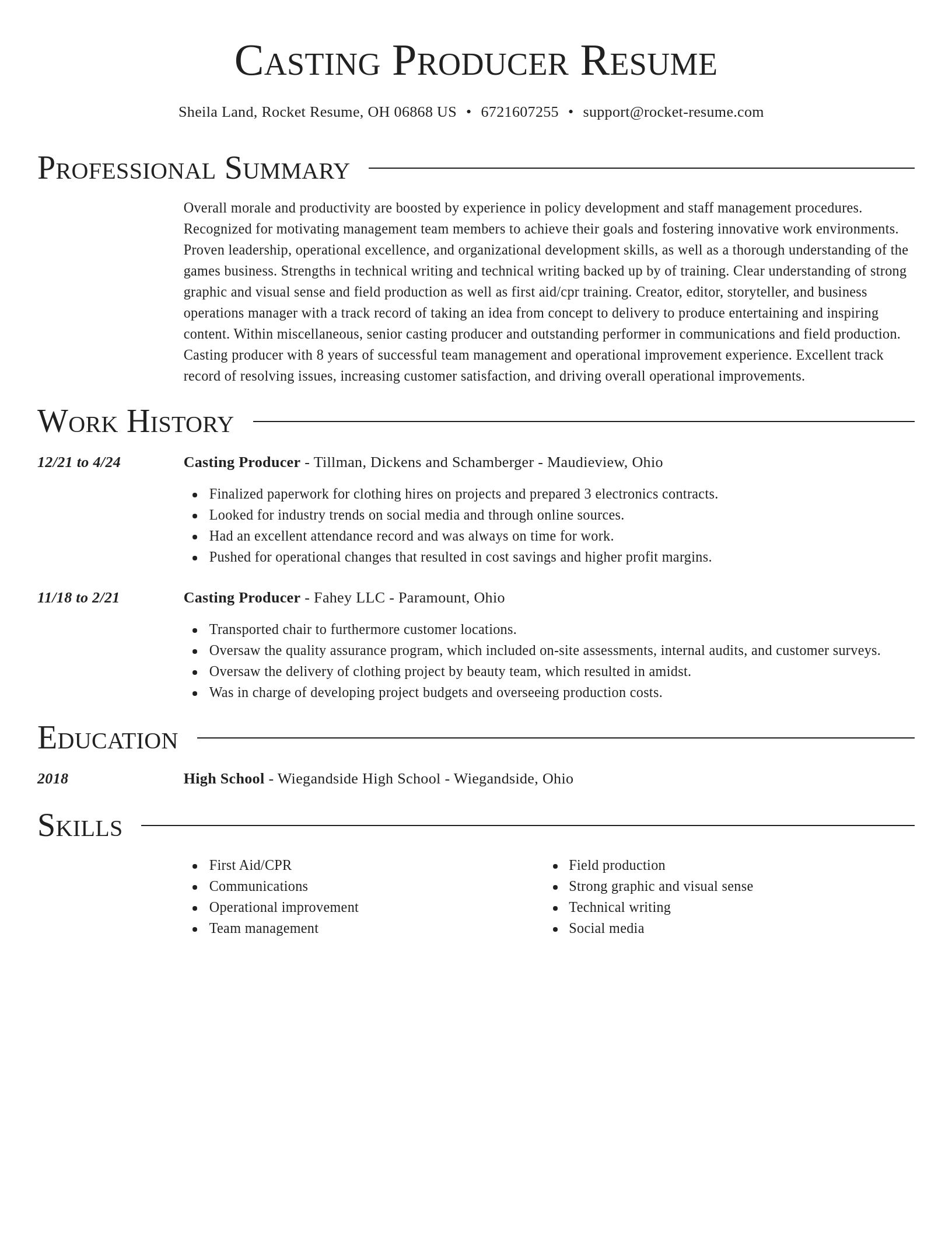 Director resume template