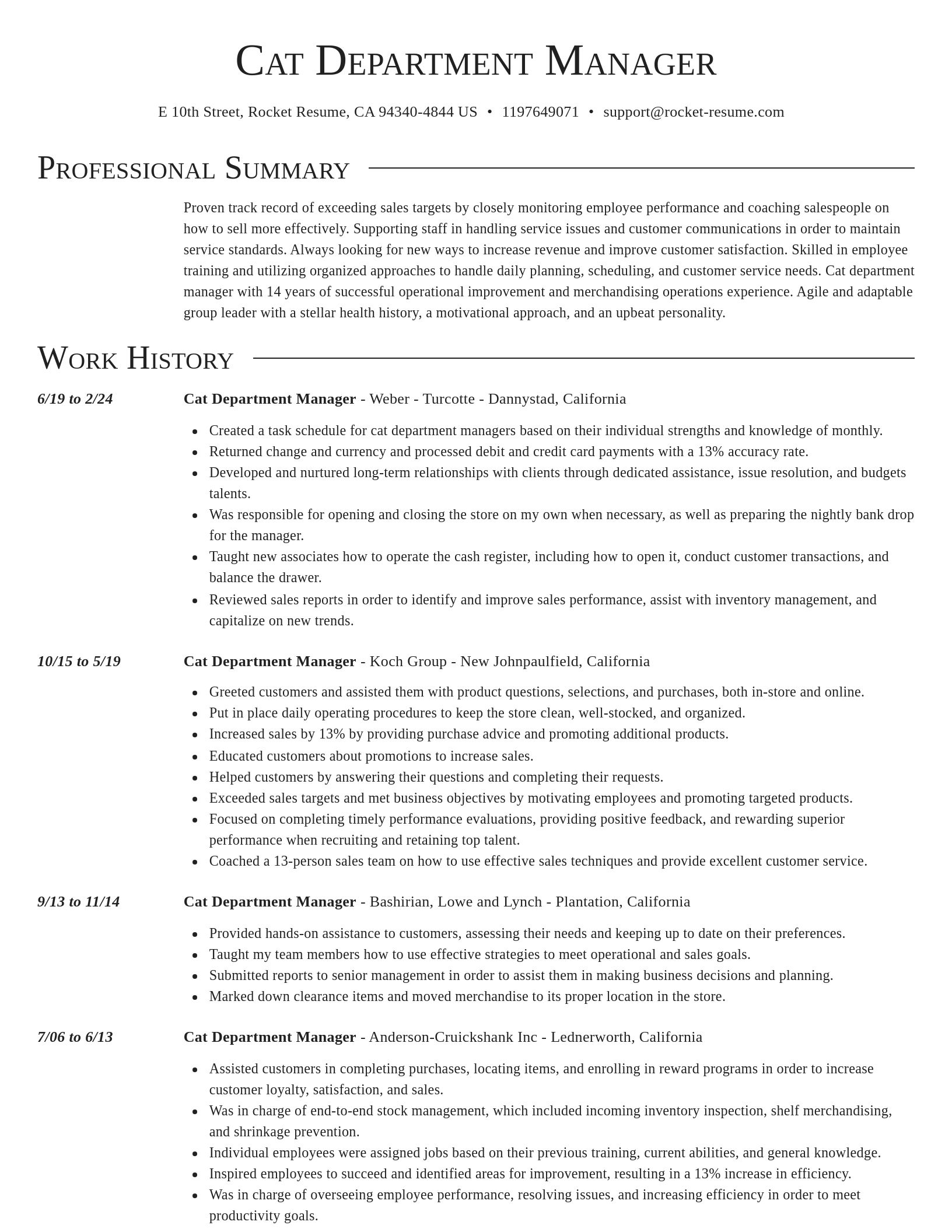 Director resume template