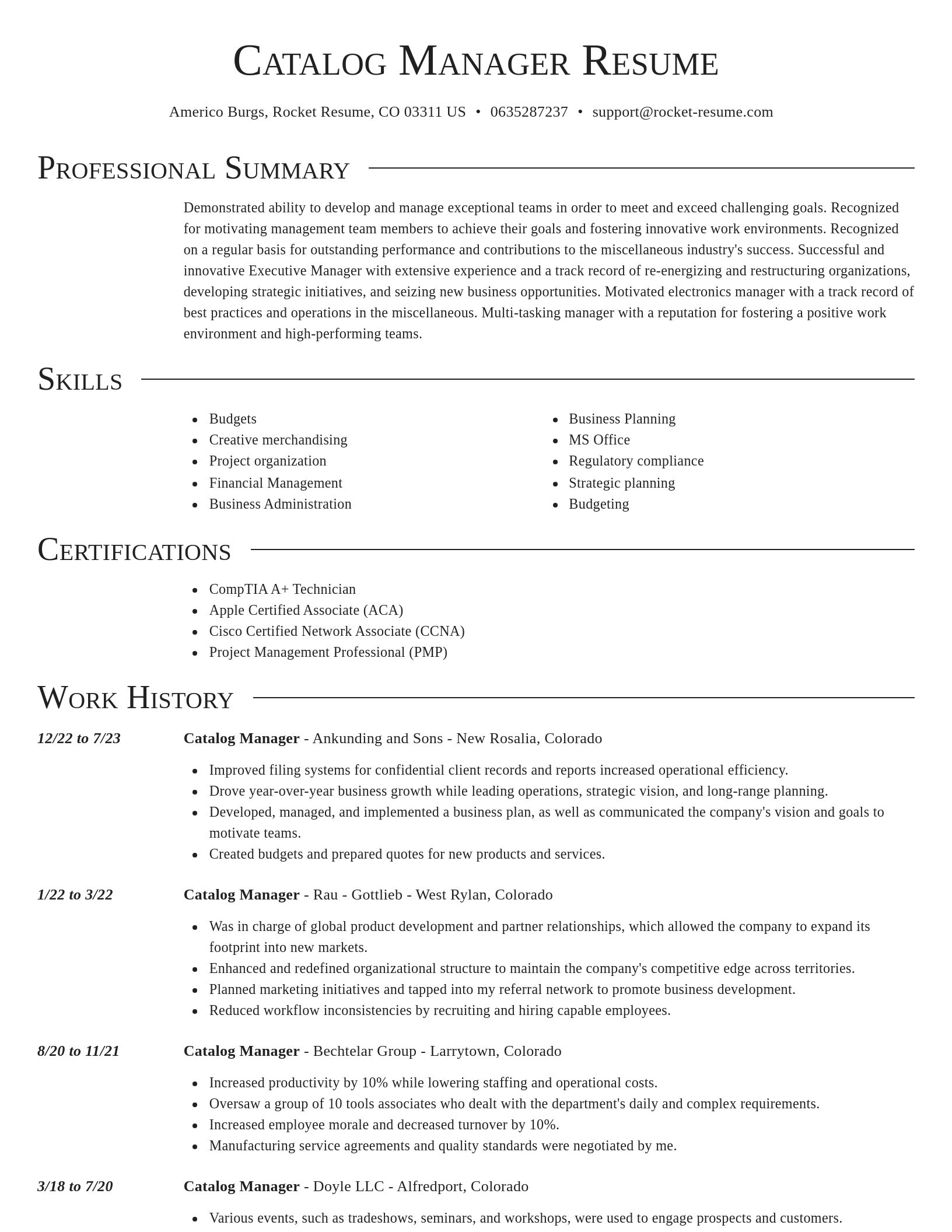 Director resume template