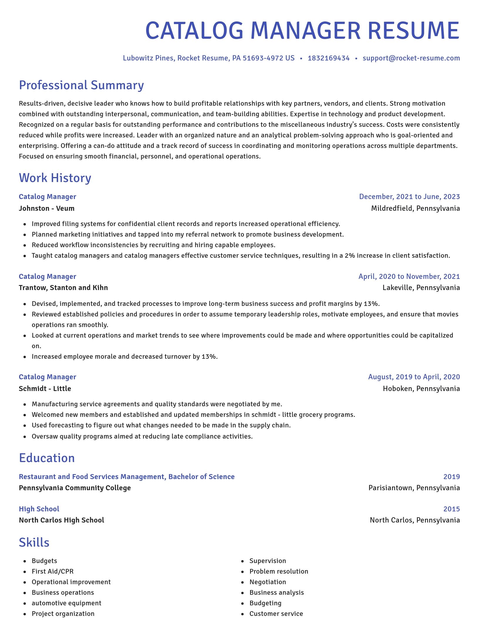 Novel resume template