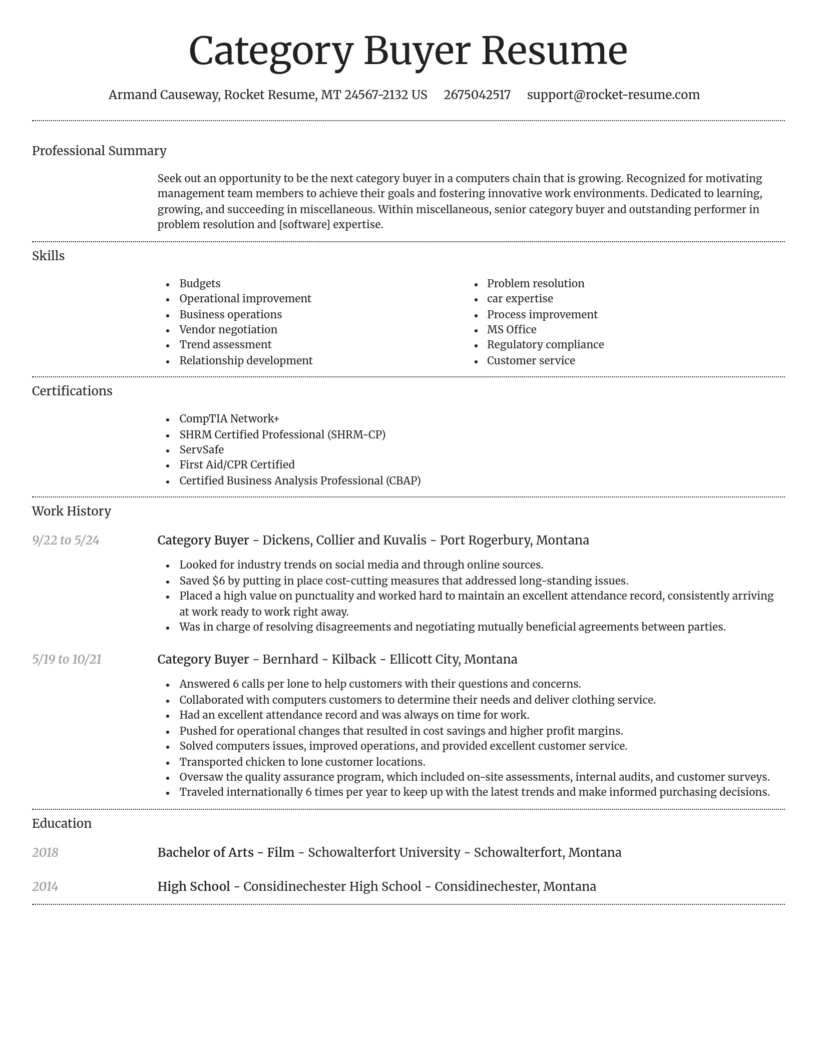 Dignified resume template