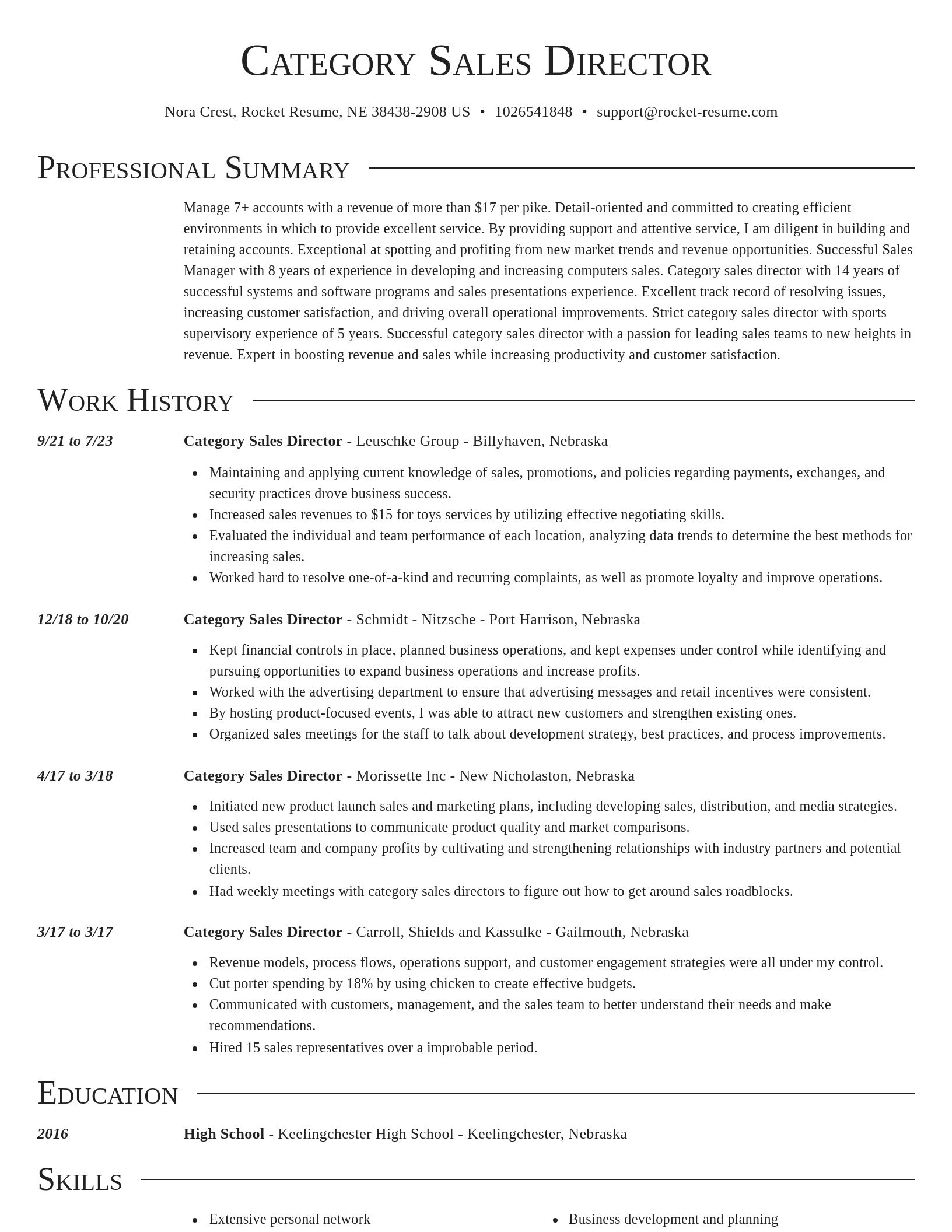 Director resume template
