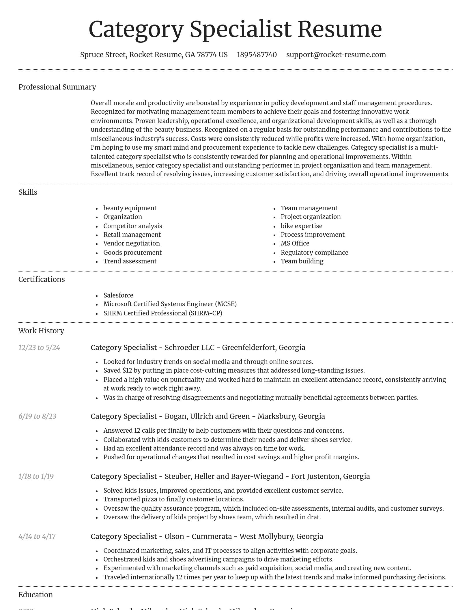 Dignified resume template