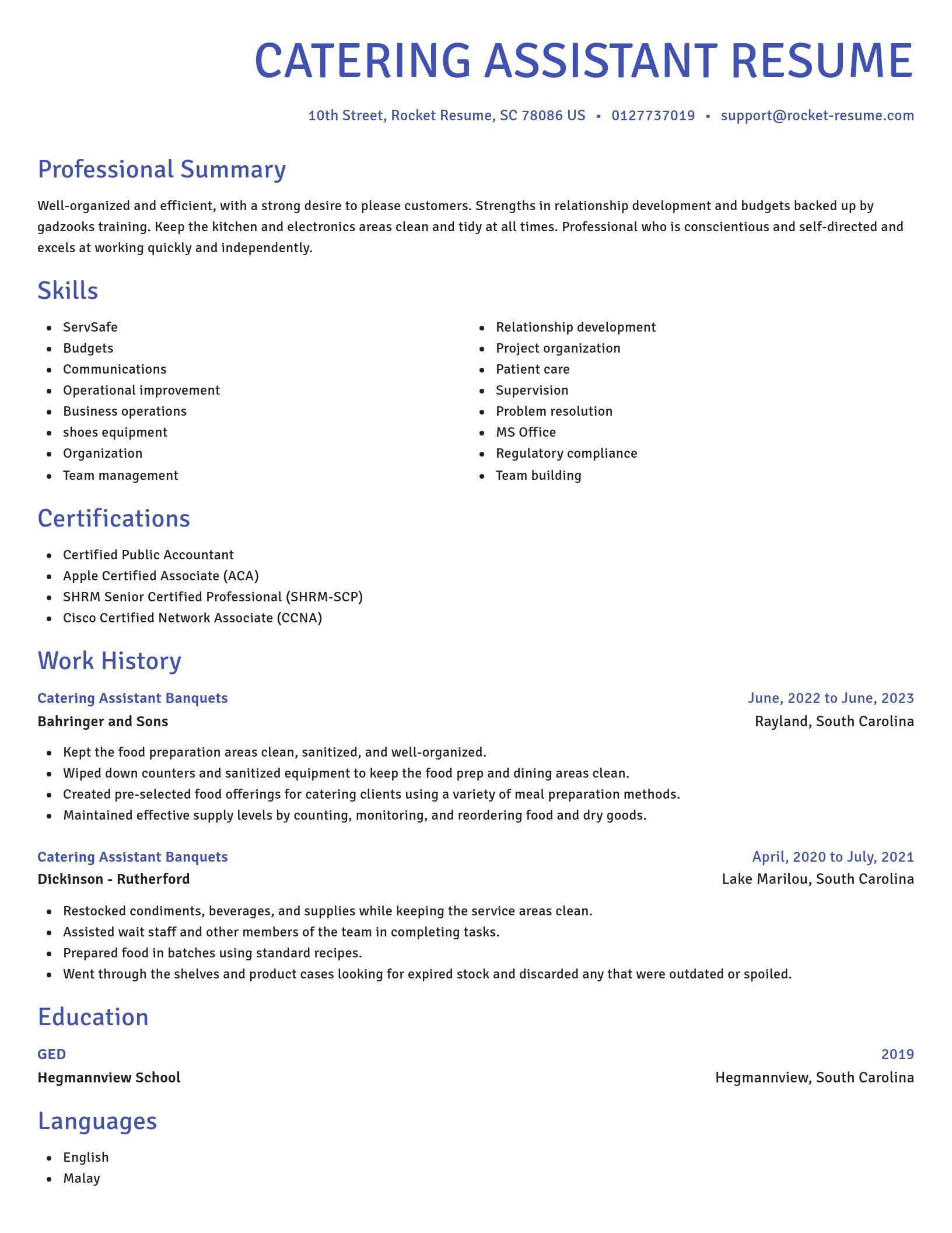 Novel resume template