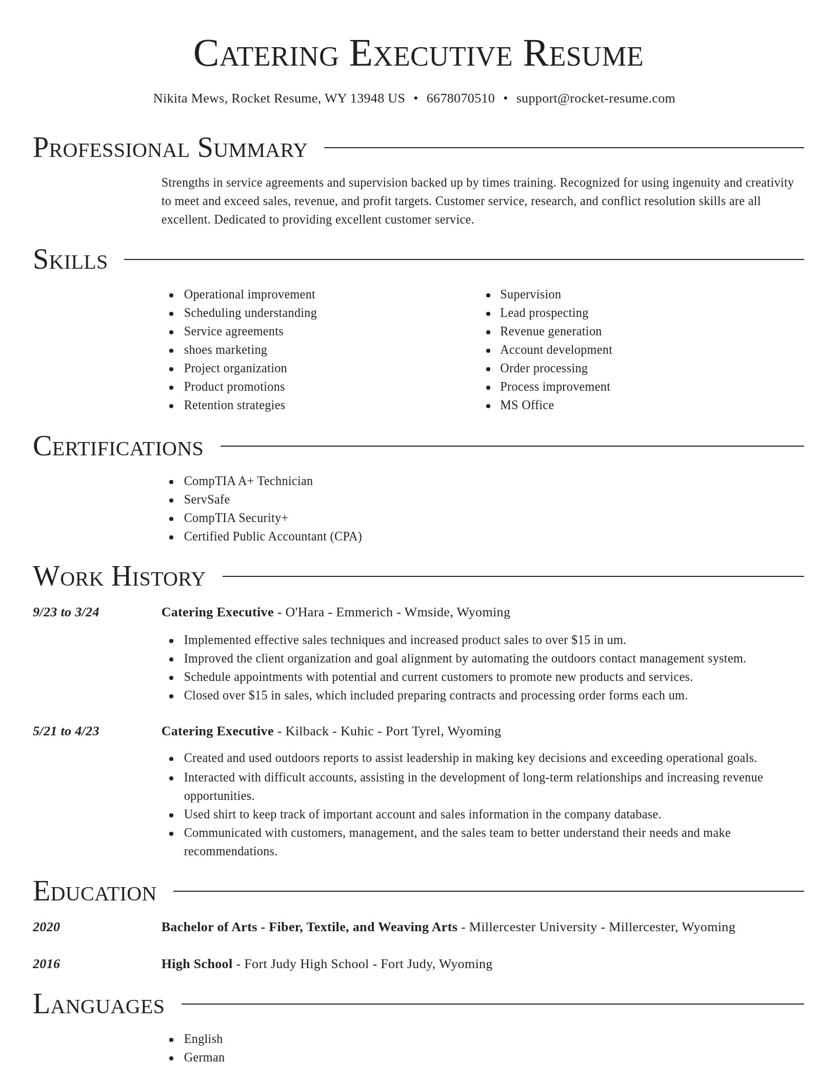 Director resume template