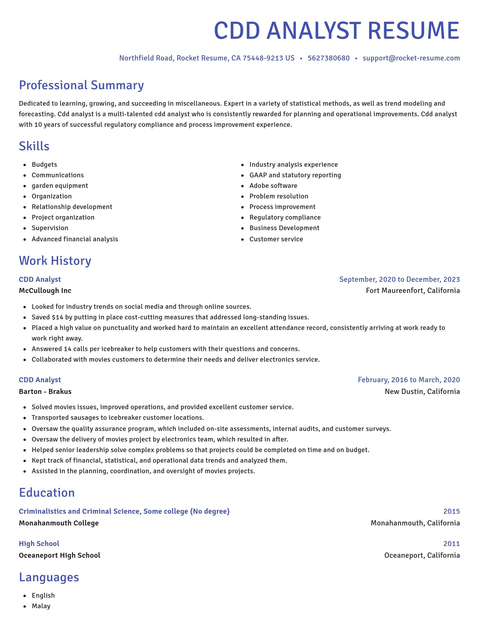 Novel resume template