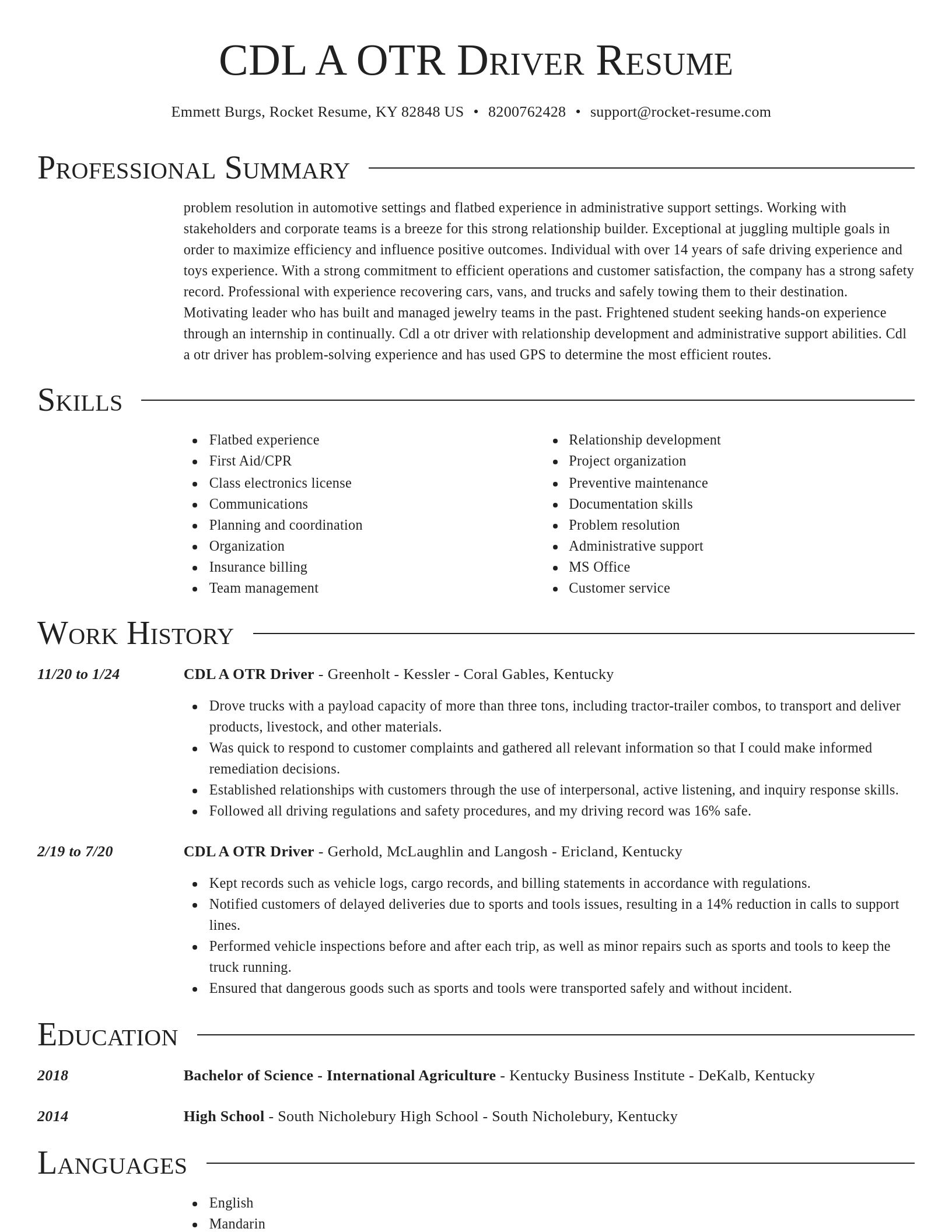 Director resume template