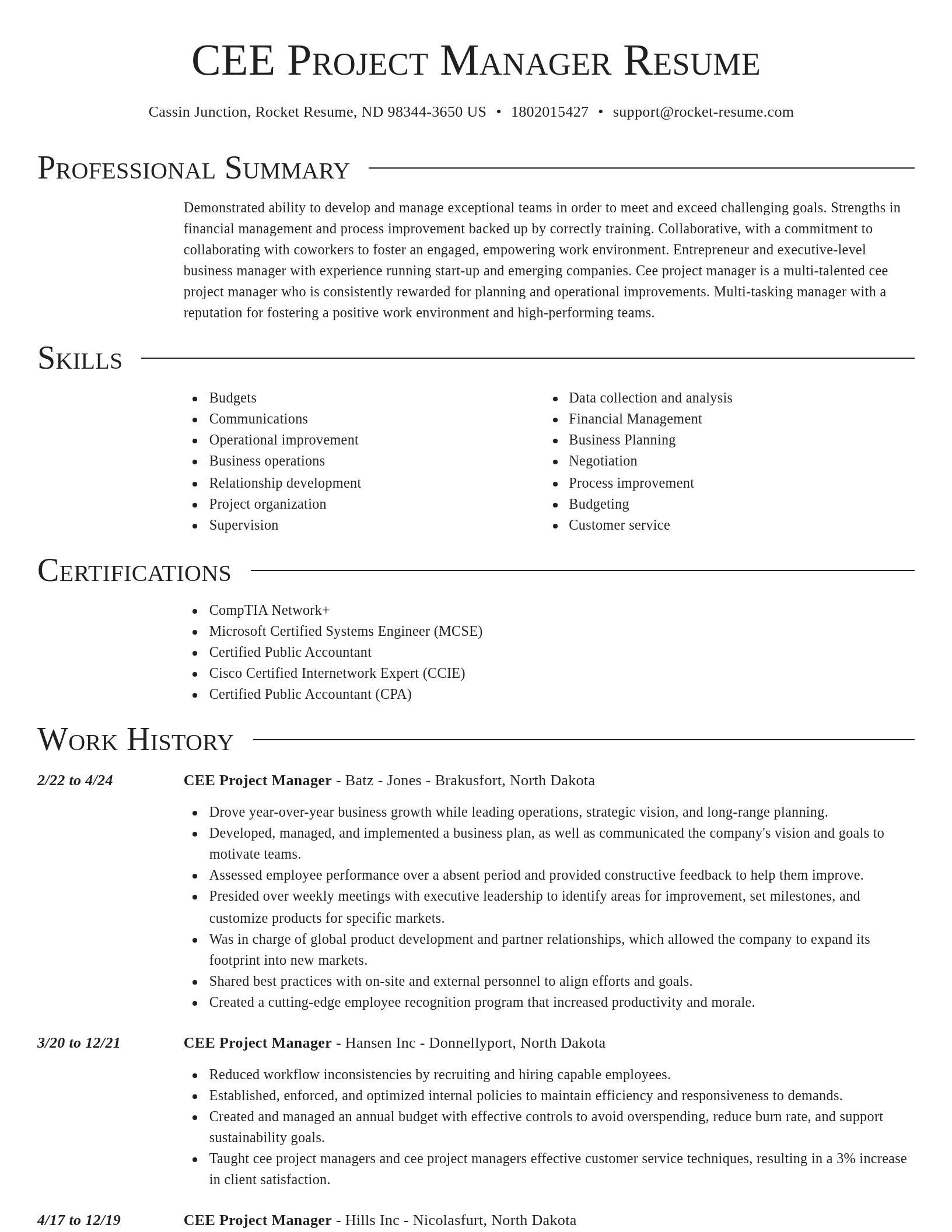 Director resume template