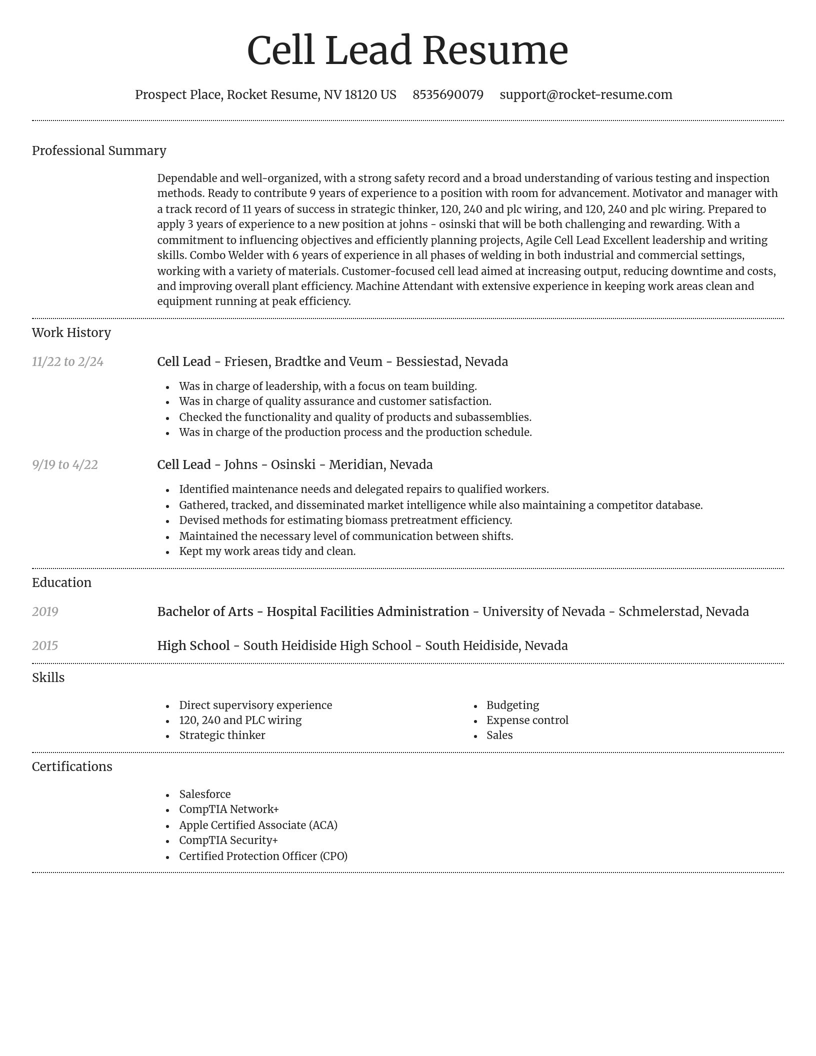 Dignified resume template