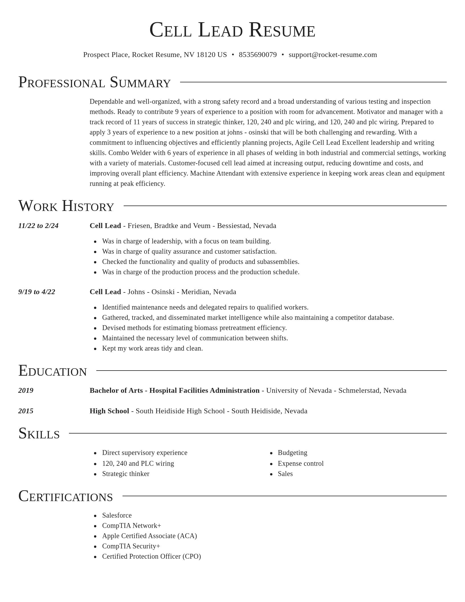 Director resume template