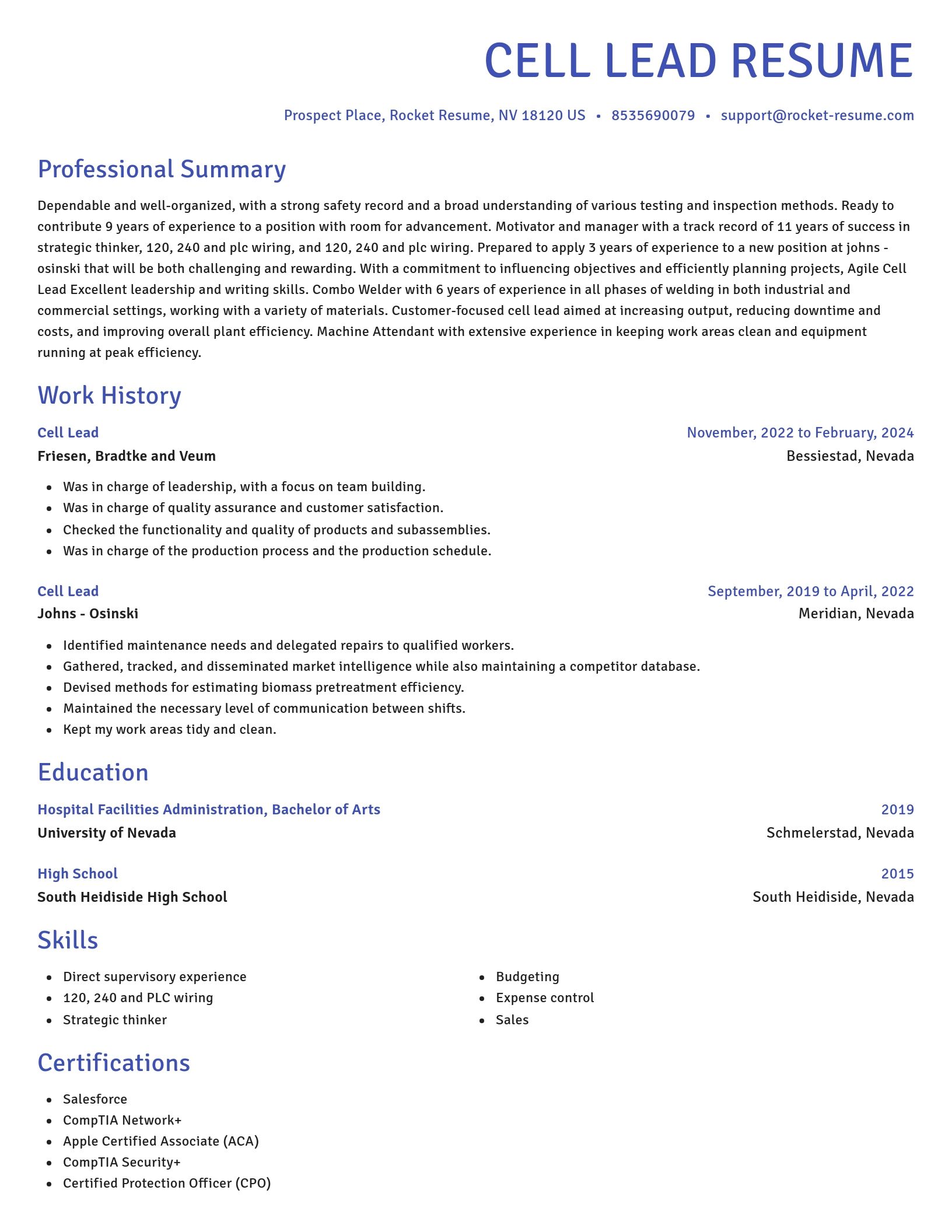 Novel resume template
