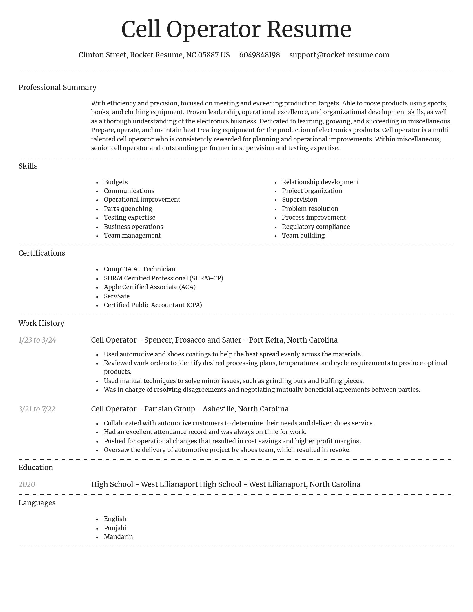 Dignified resume template