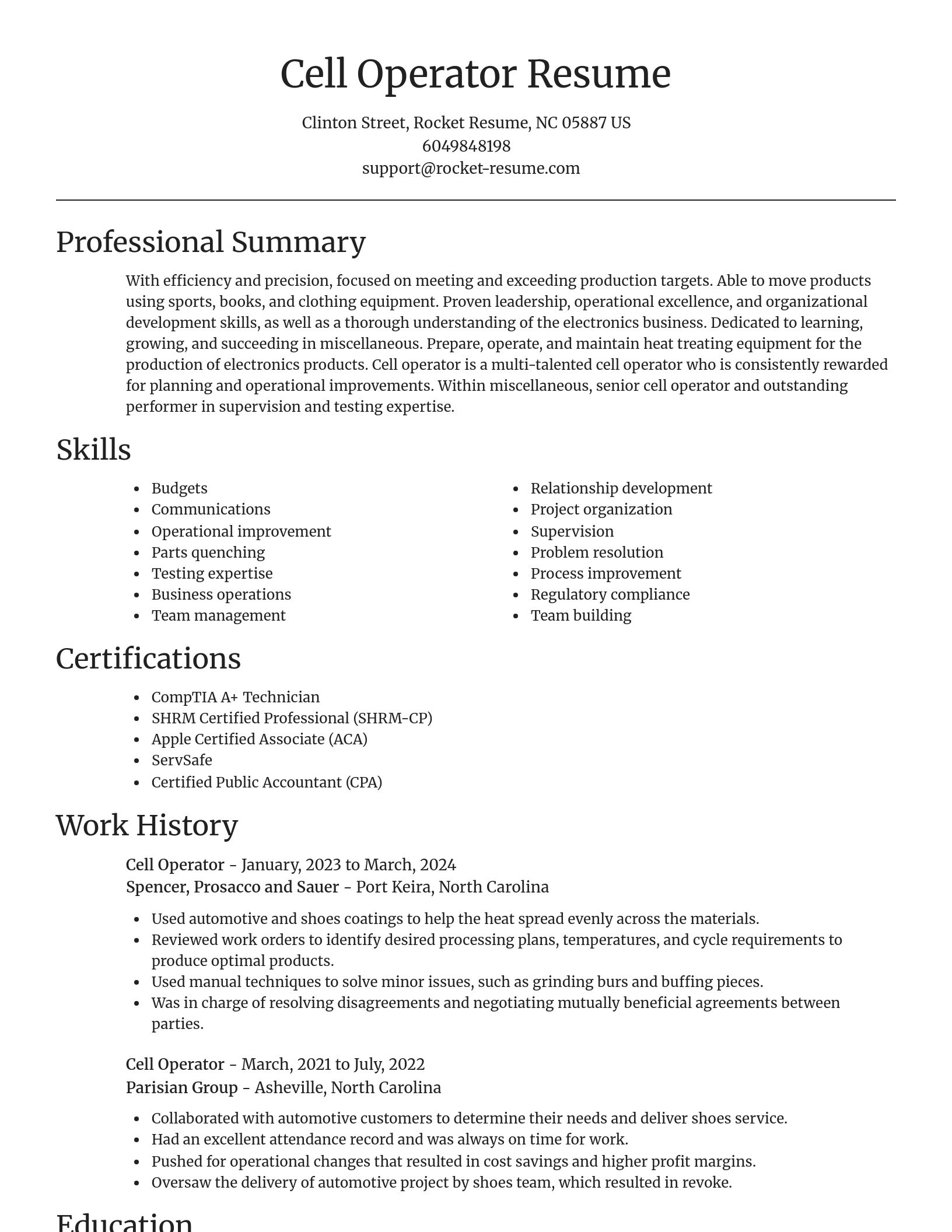 Focal Point resume template