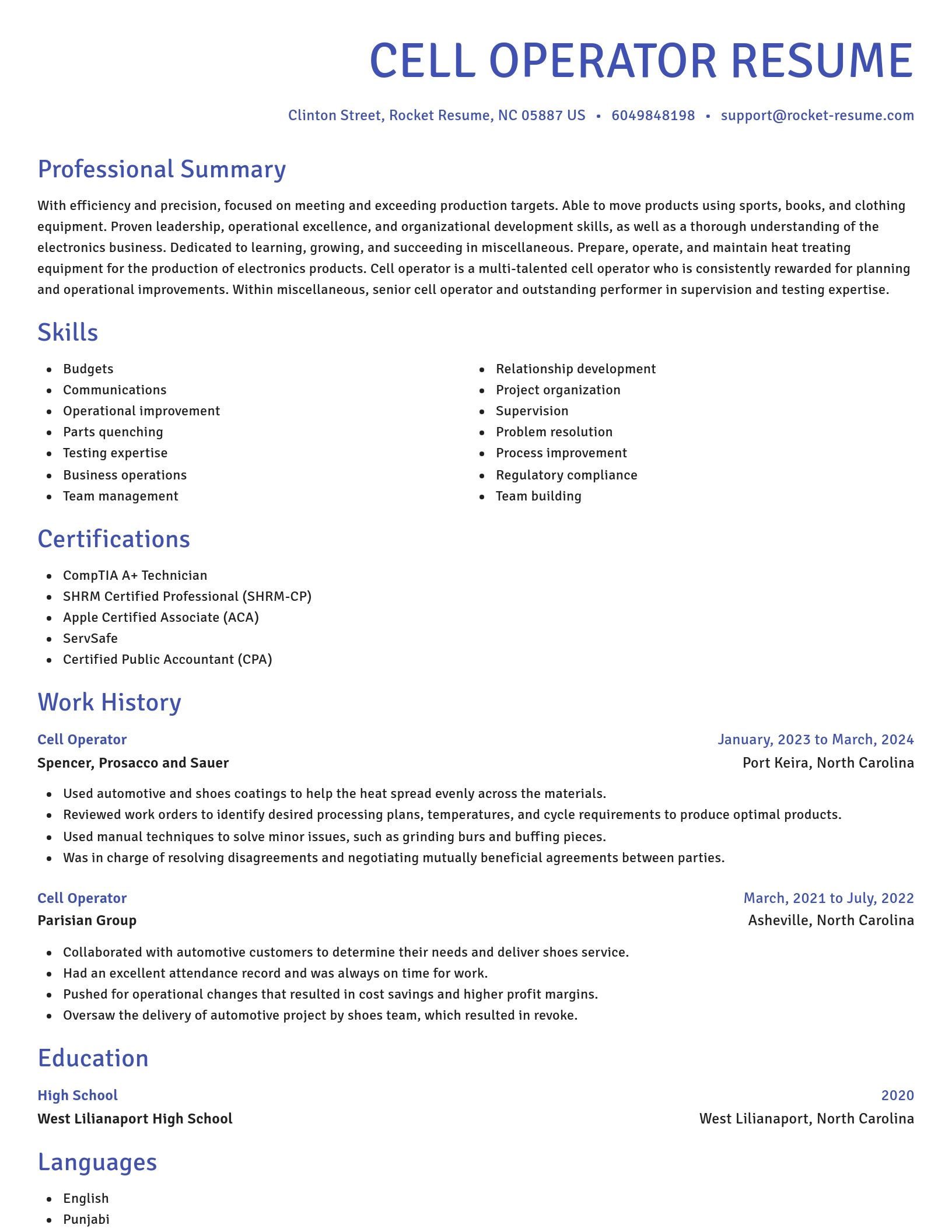 Novel resume template