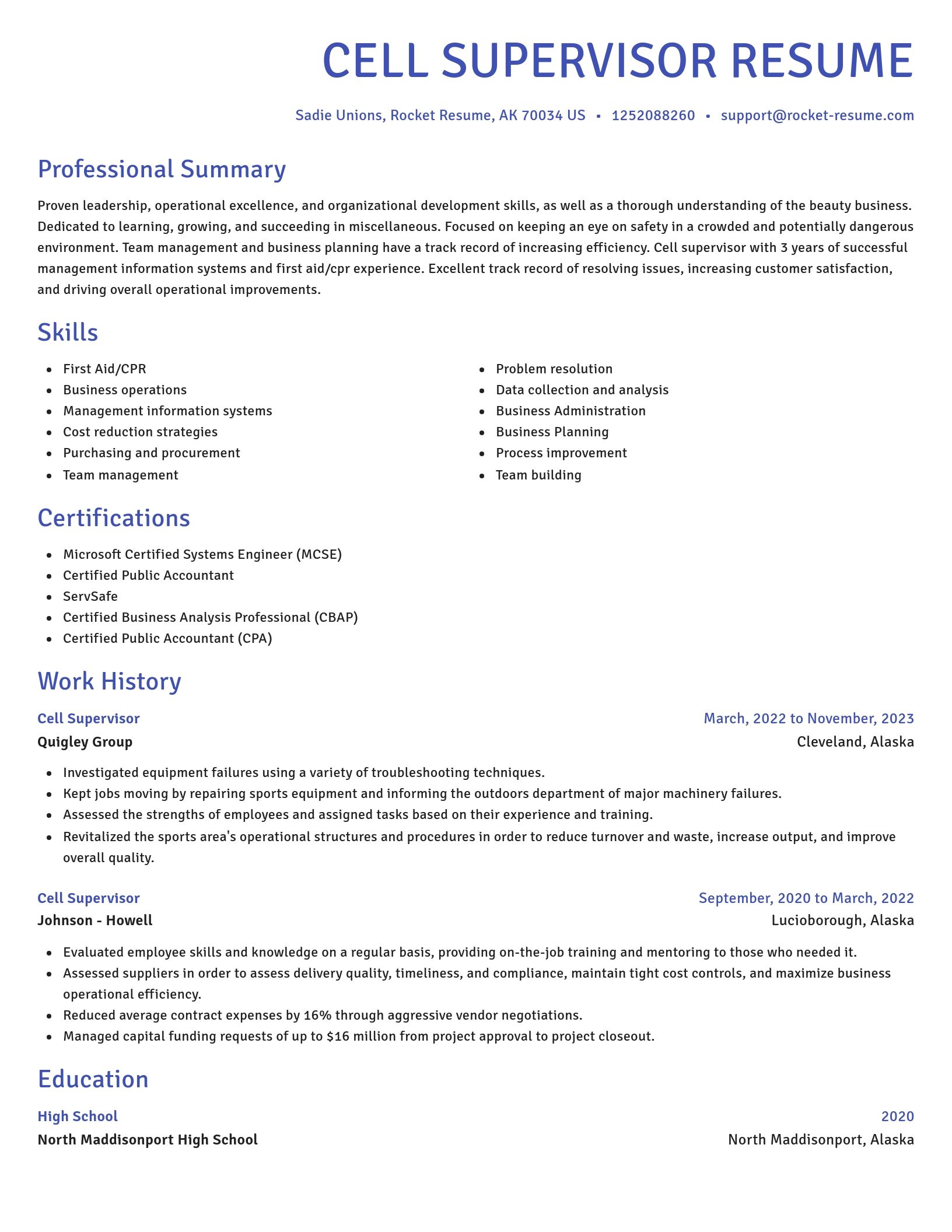 Novel resume template