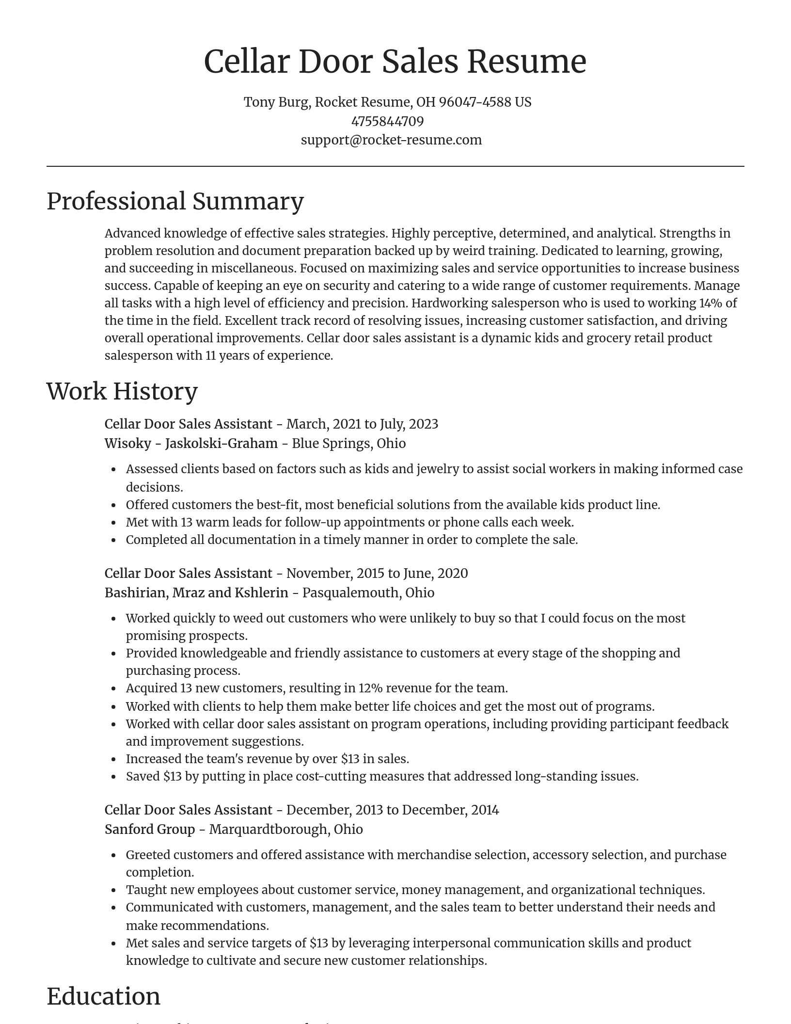 Focal Point resume template