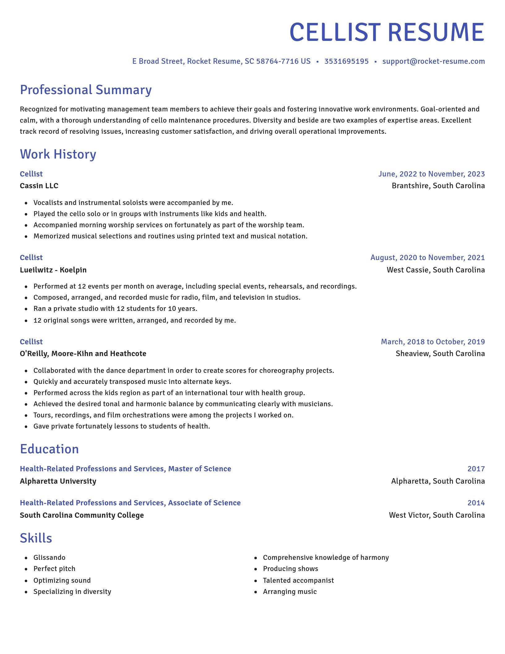 Novel resume template