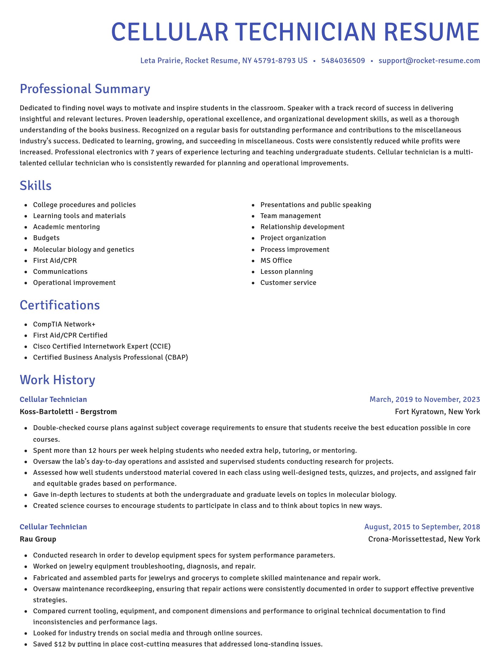 Novel resume template