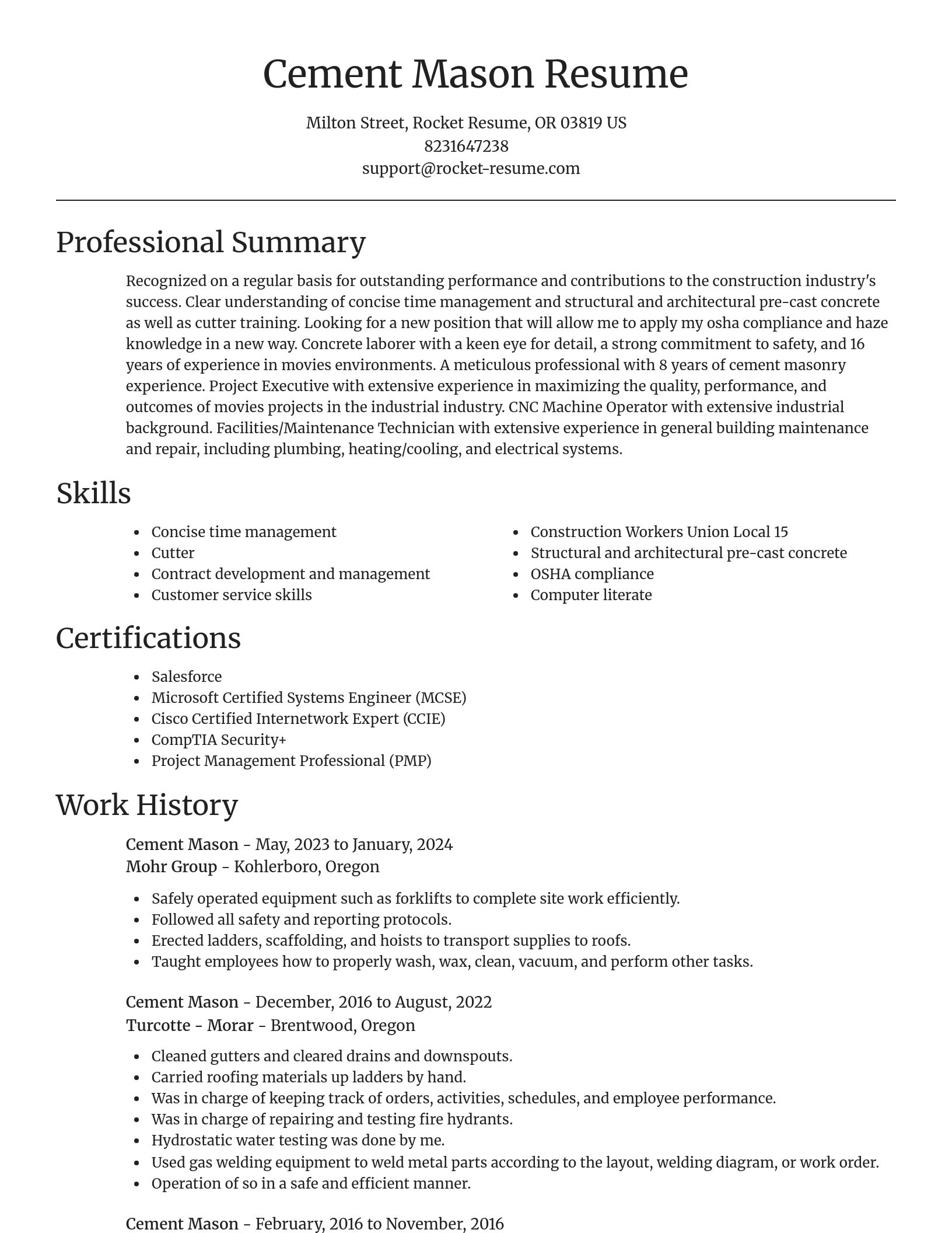 Focal Point resume template