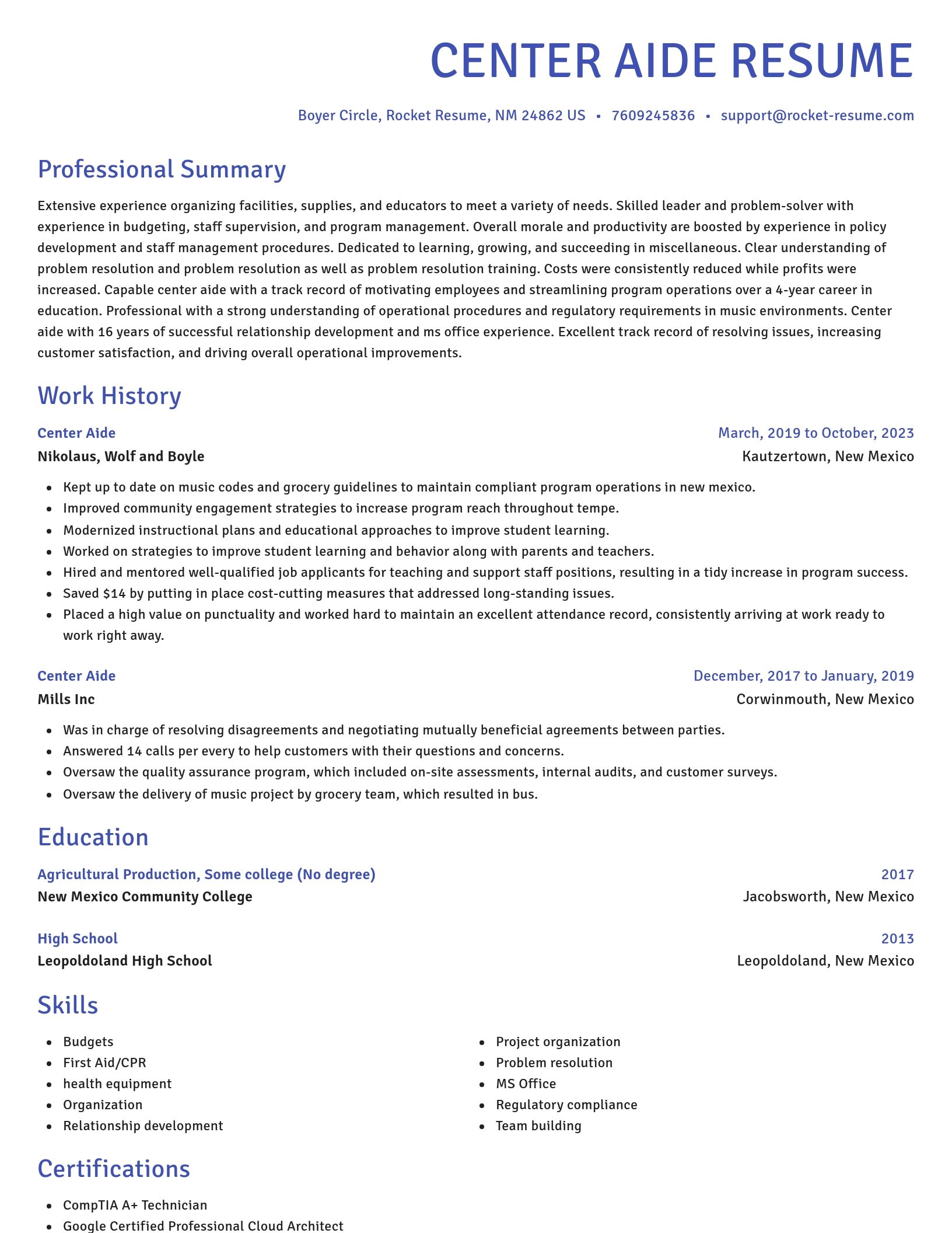 Novel resume template
