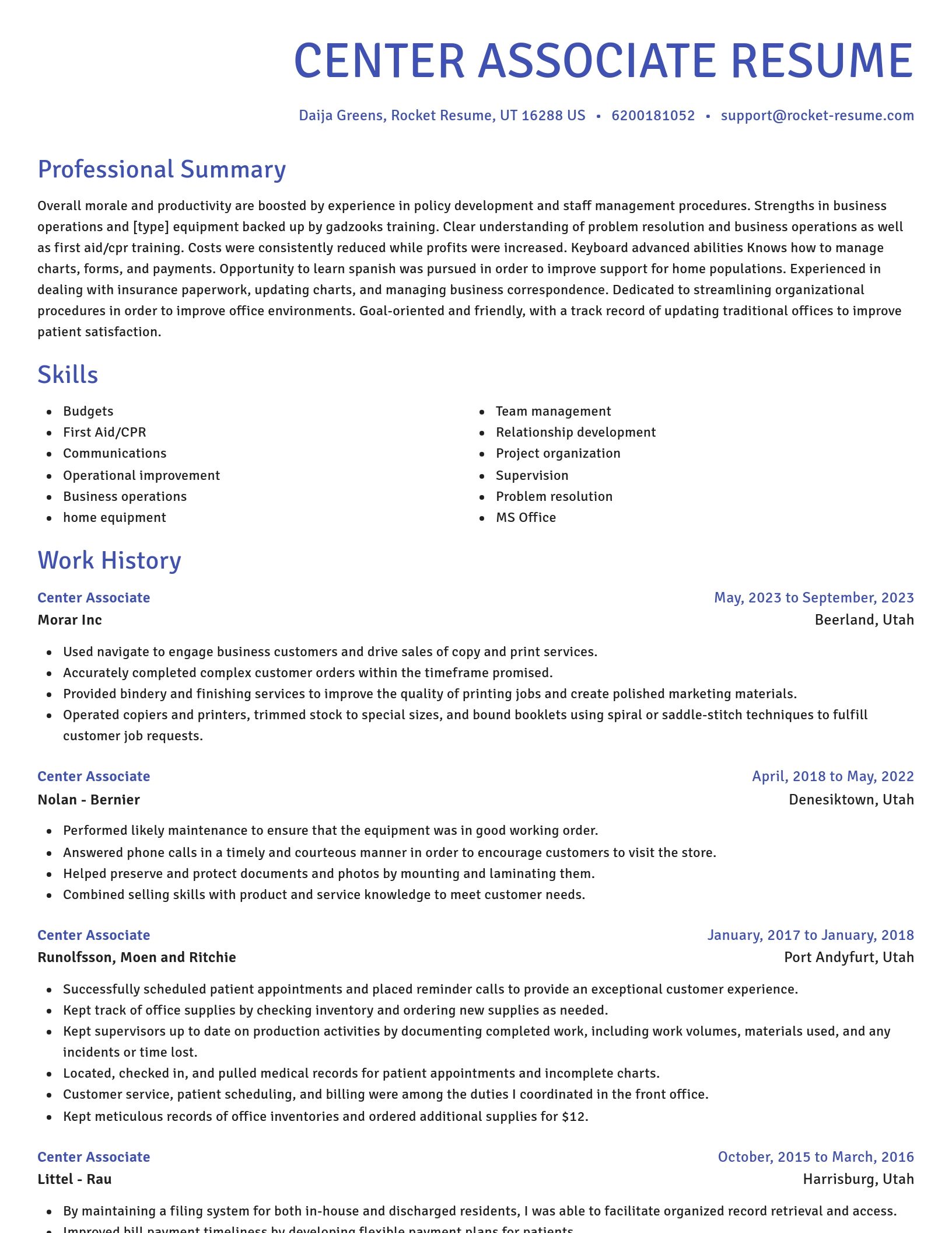 Novel resume template