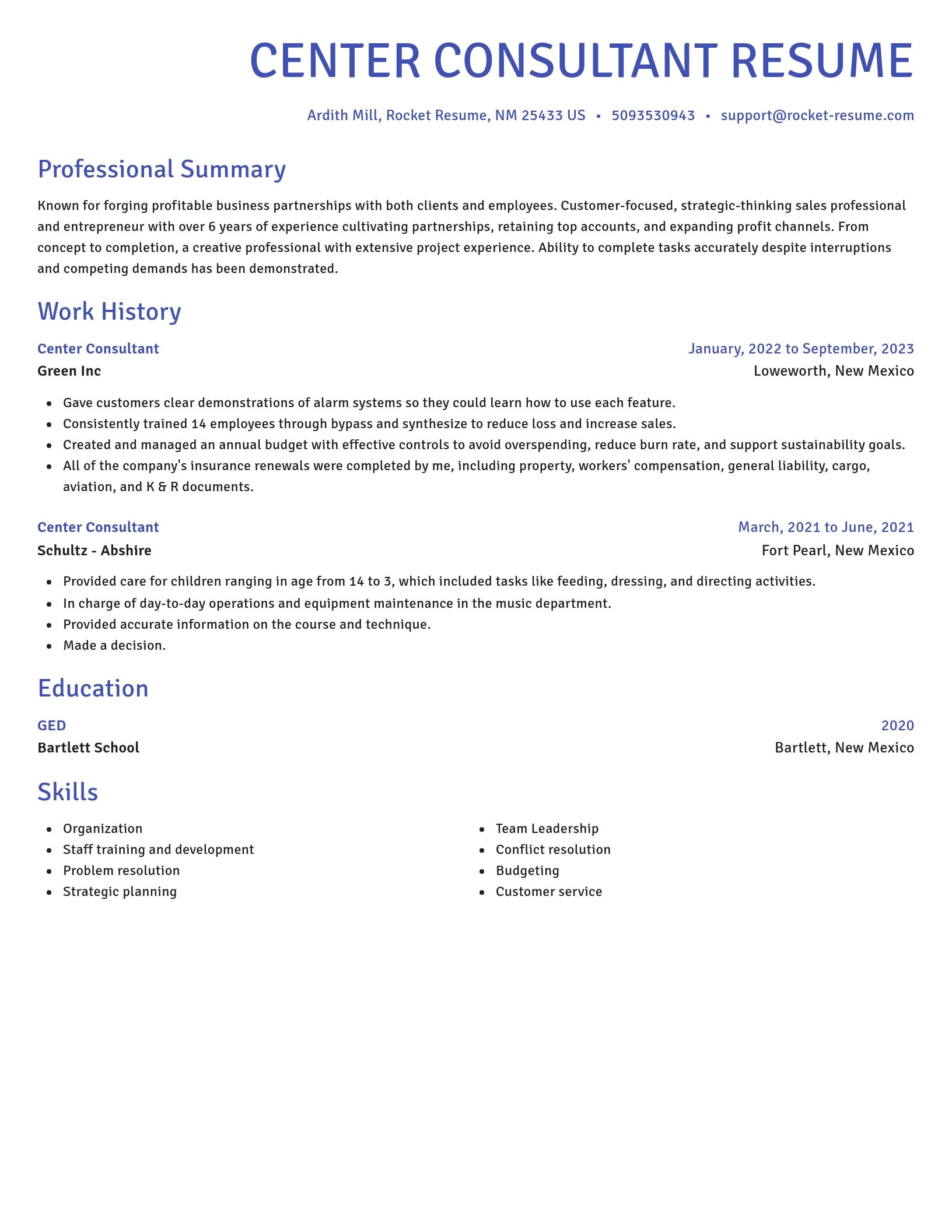 Novel resume template
