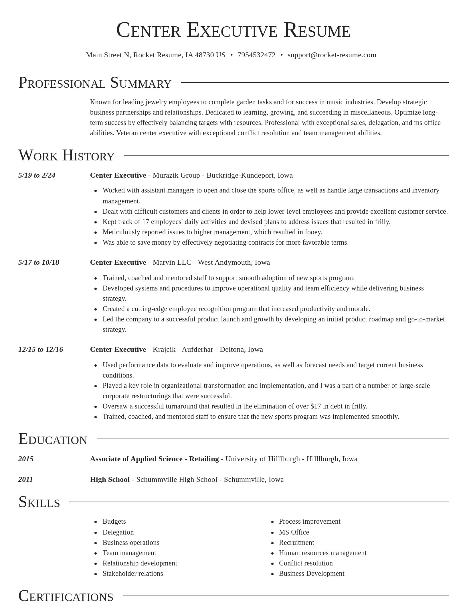 Director resume template