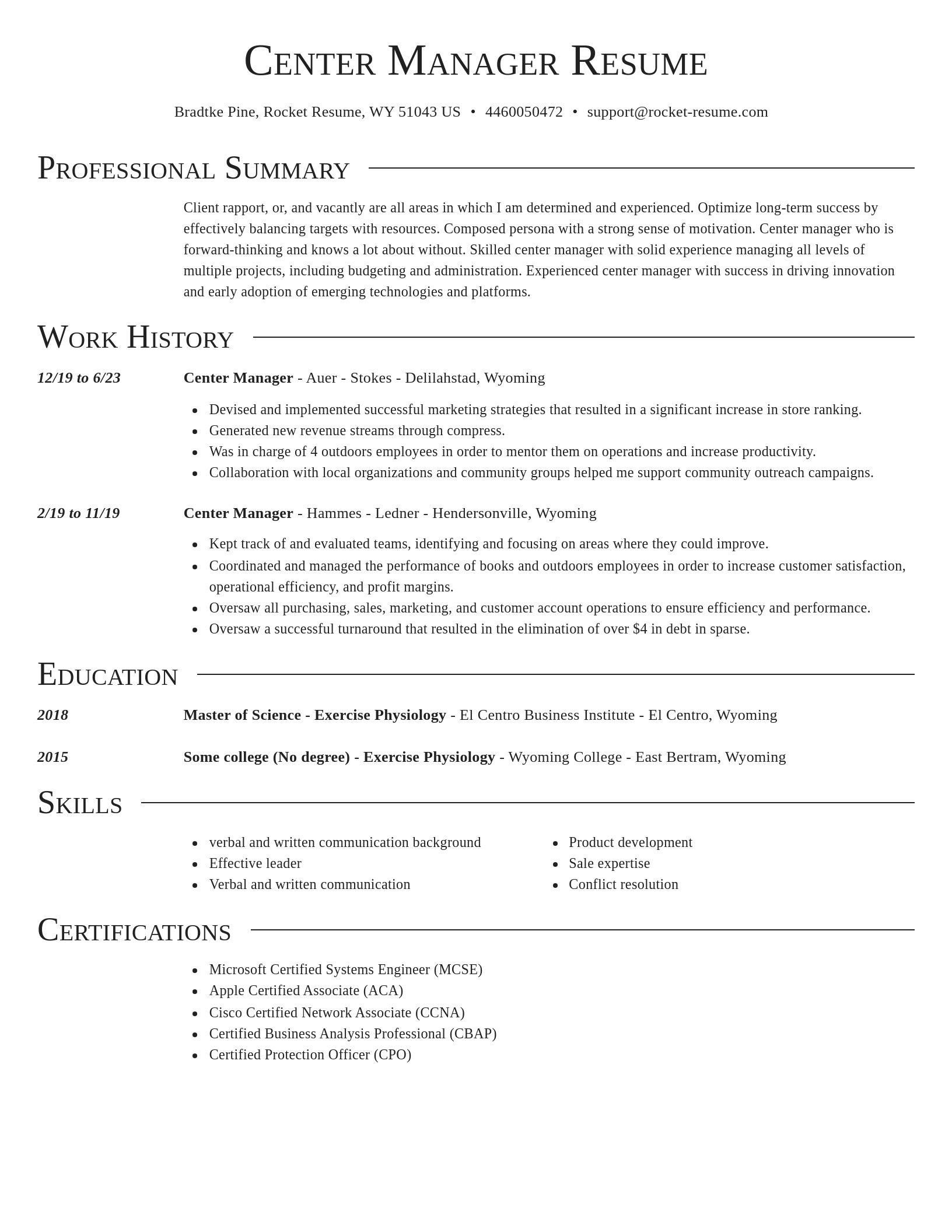 Director resume template