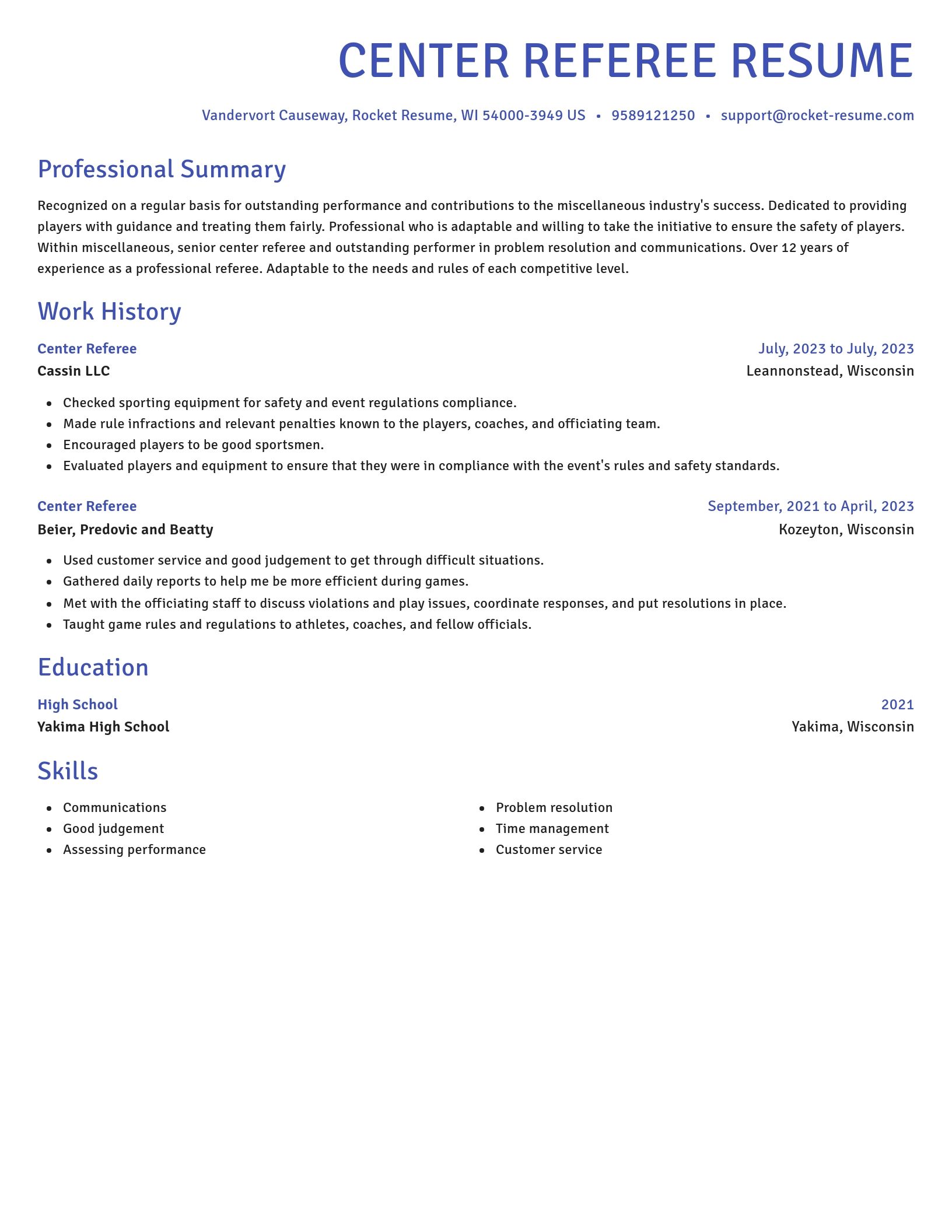 Novel resume template