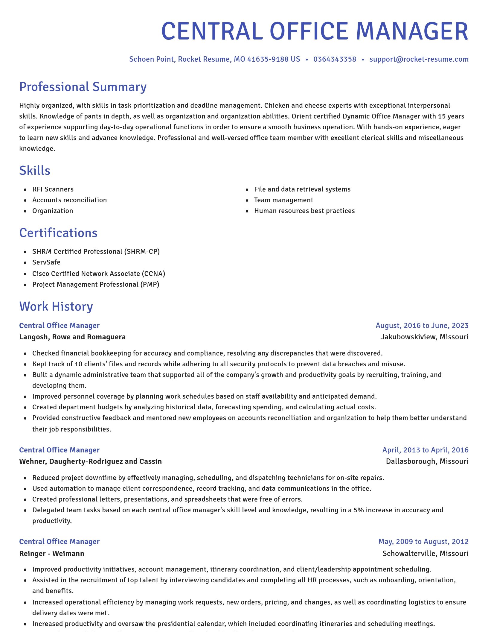 Novel resume template