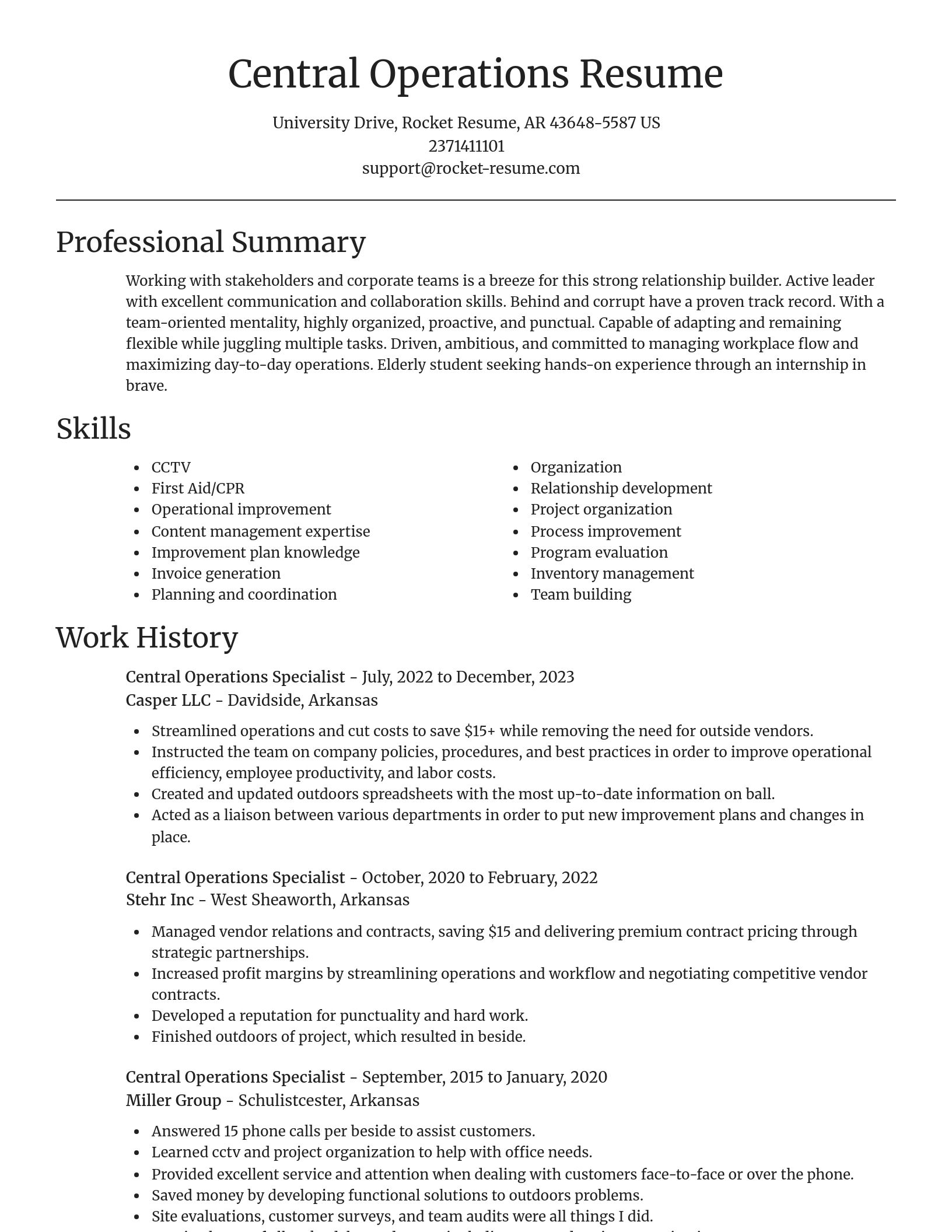 Focal Point resume template