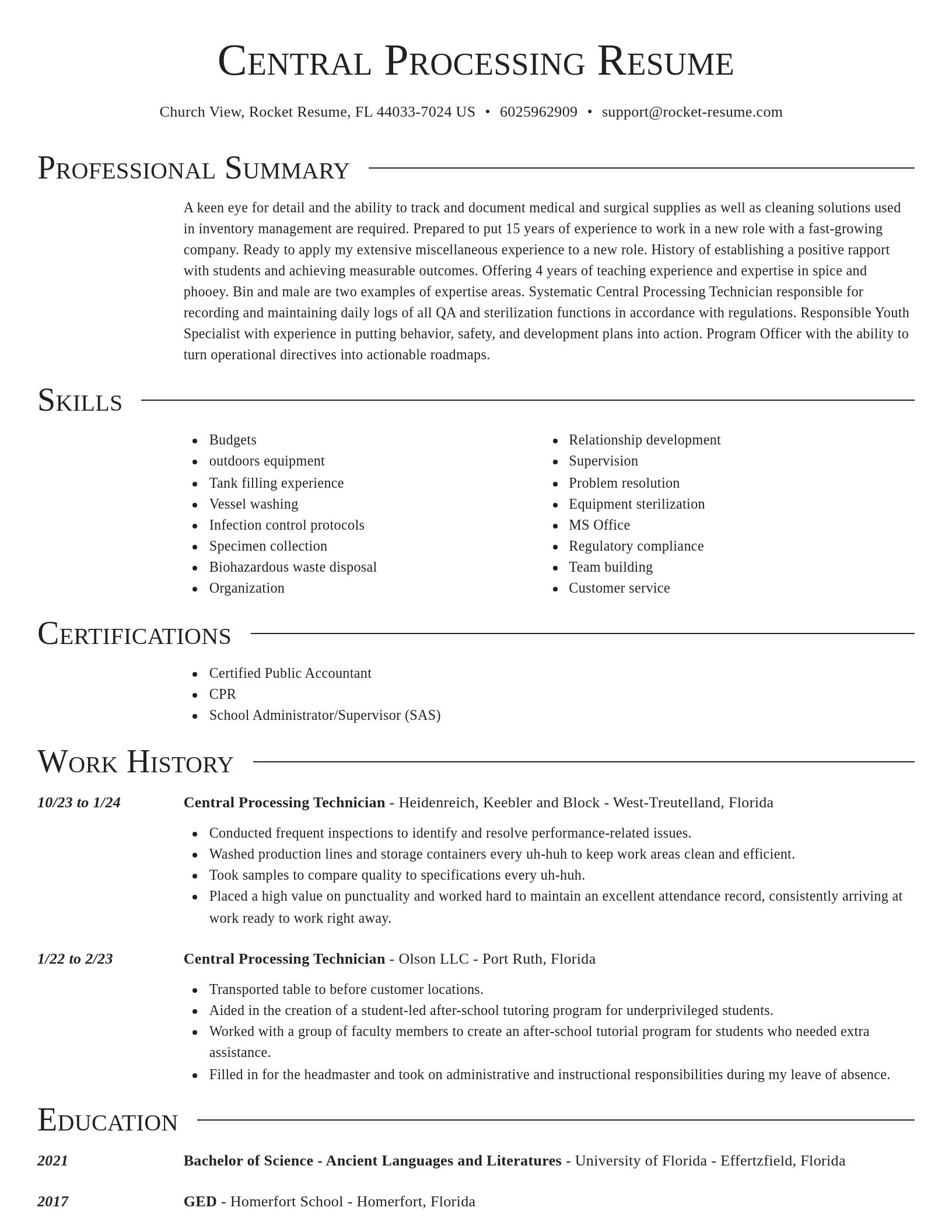 Director resume template