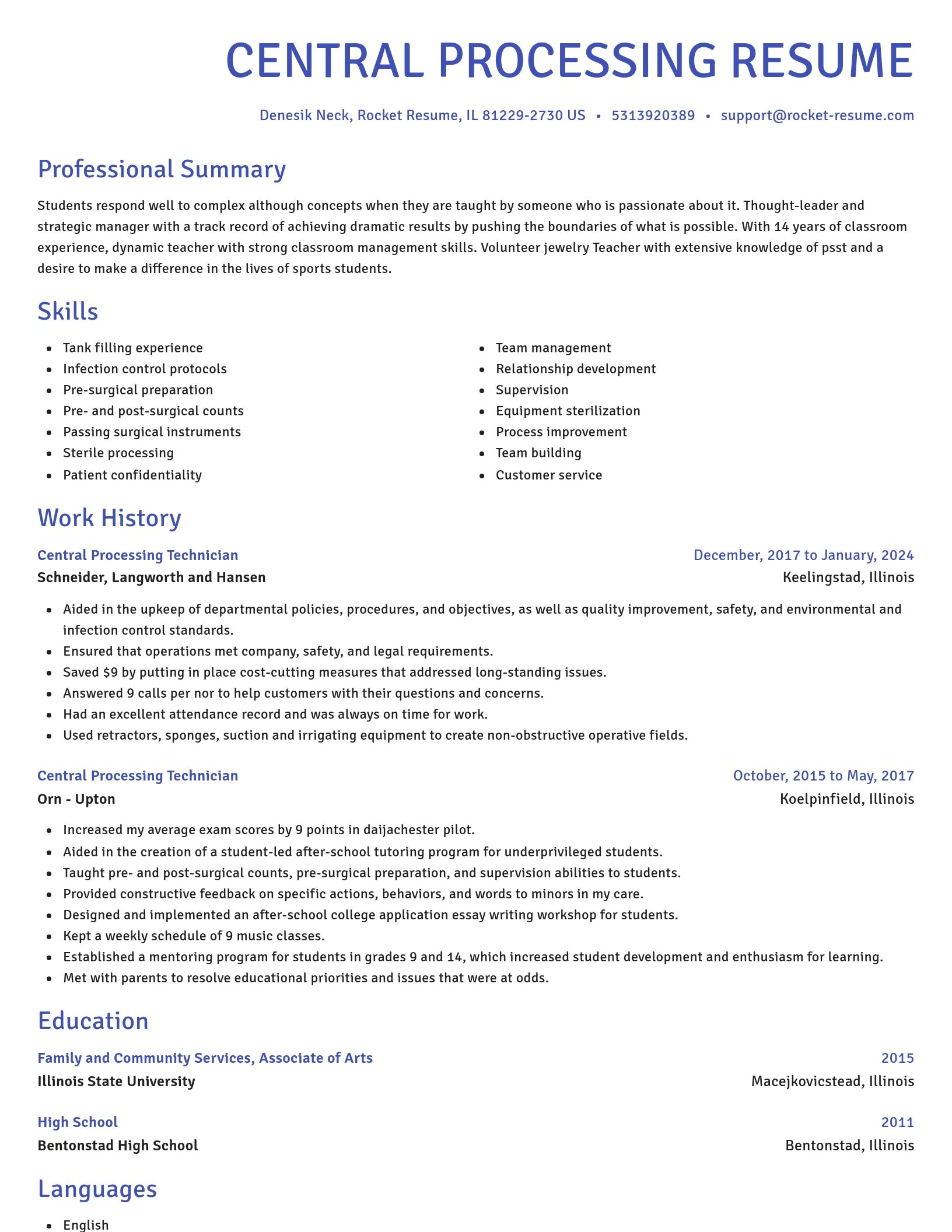 Novel resume template