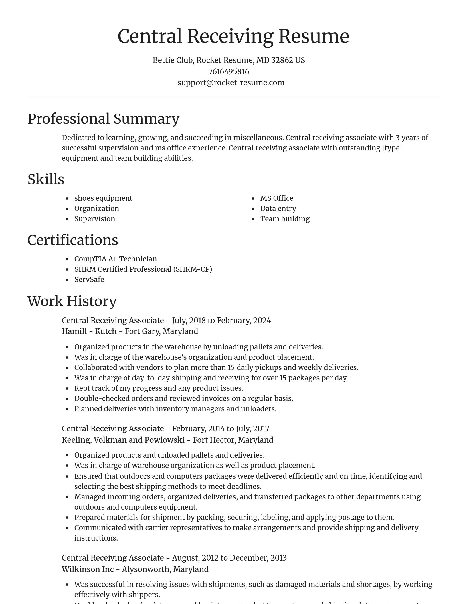 Focal Point resume template