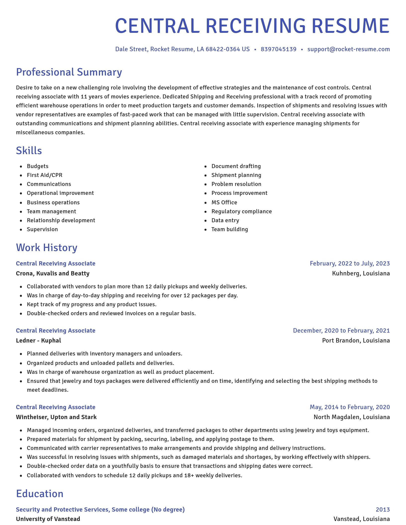 Novel resume template