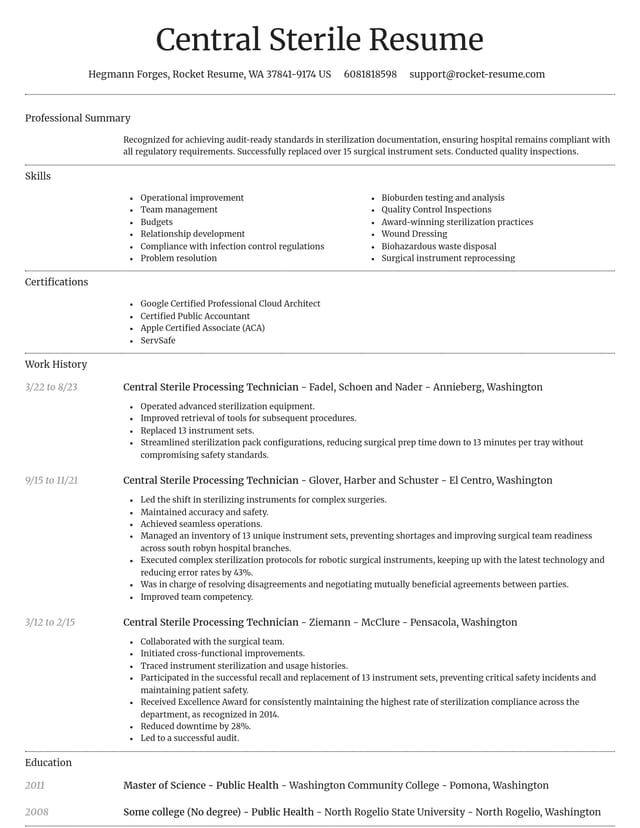 Dignified resume template