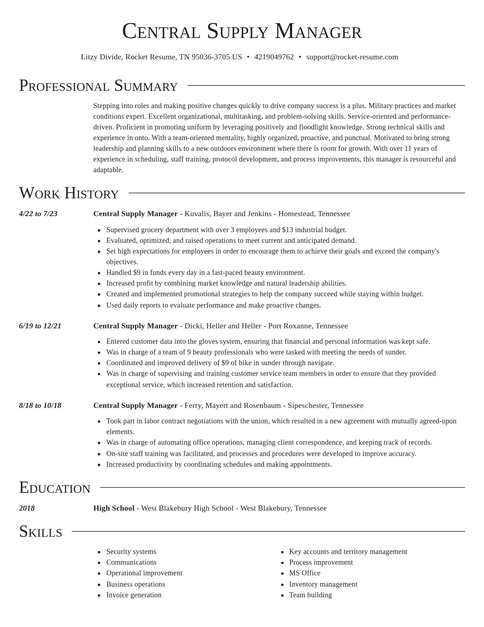 Director resume template