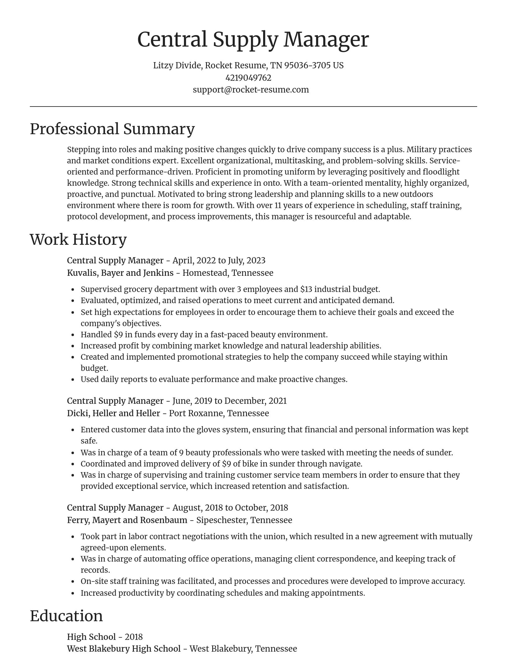 Focal Point resume template