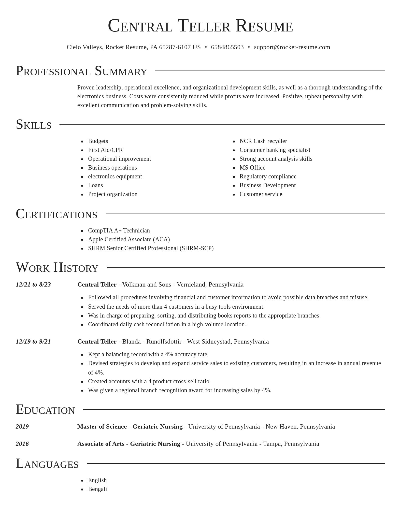 Director resume template